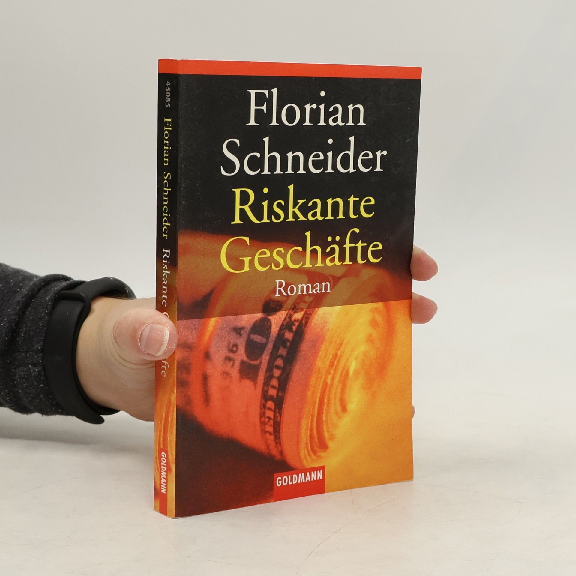 Florian Schneider Riskante Geschäfte