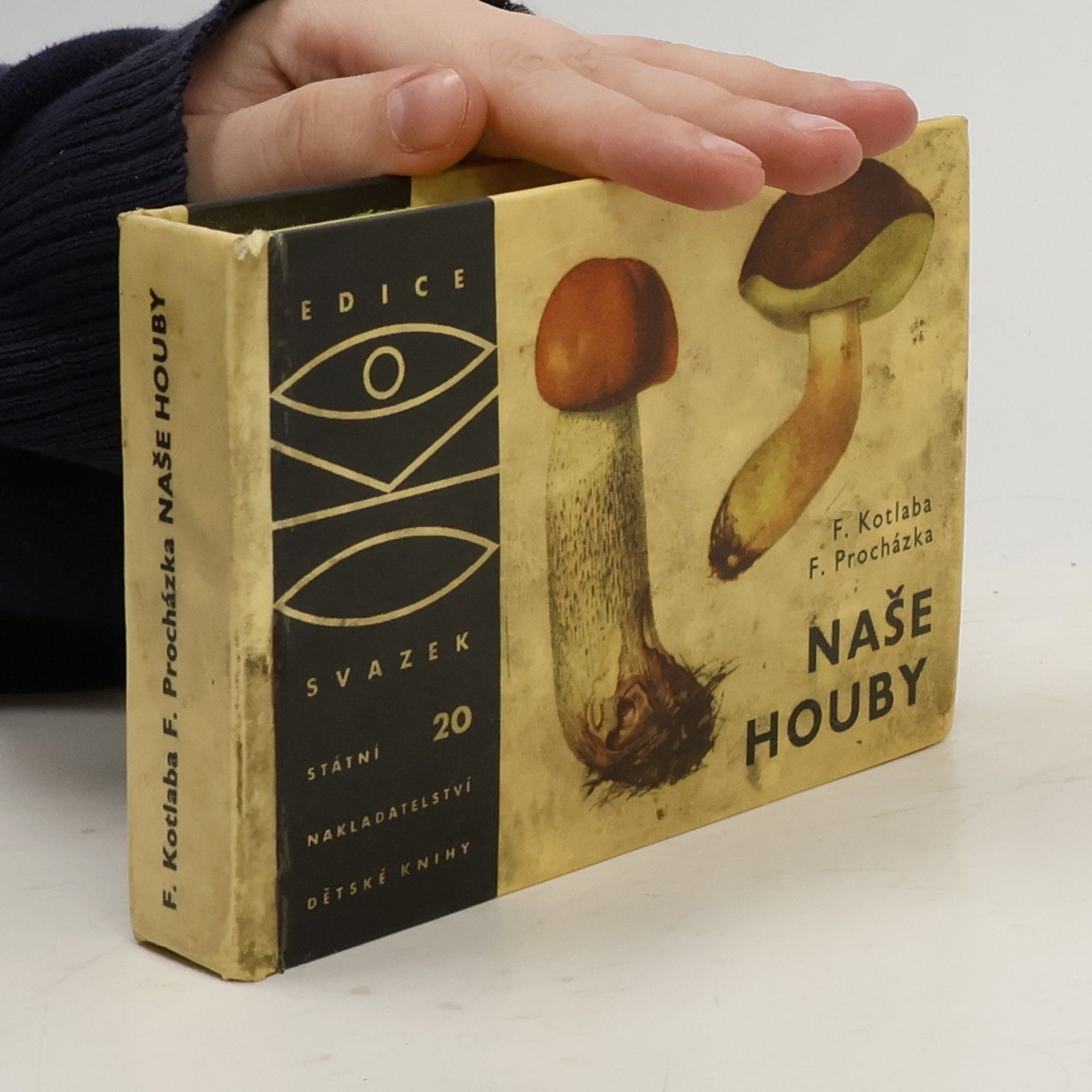 František Kotlaba Naše houby