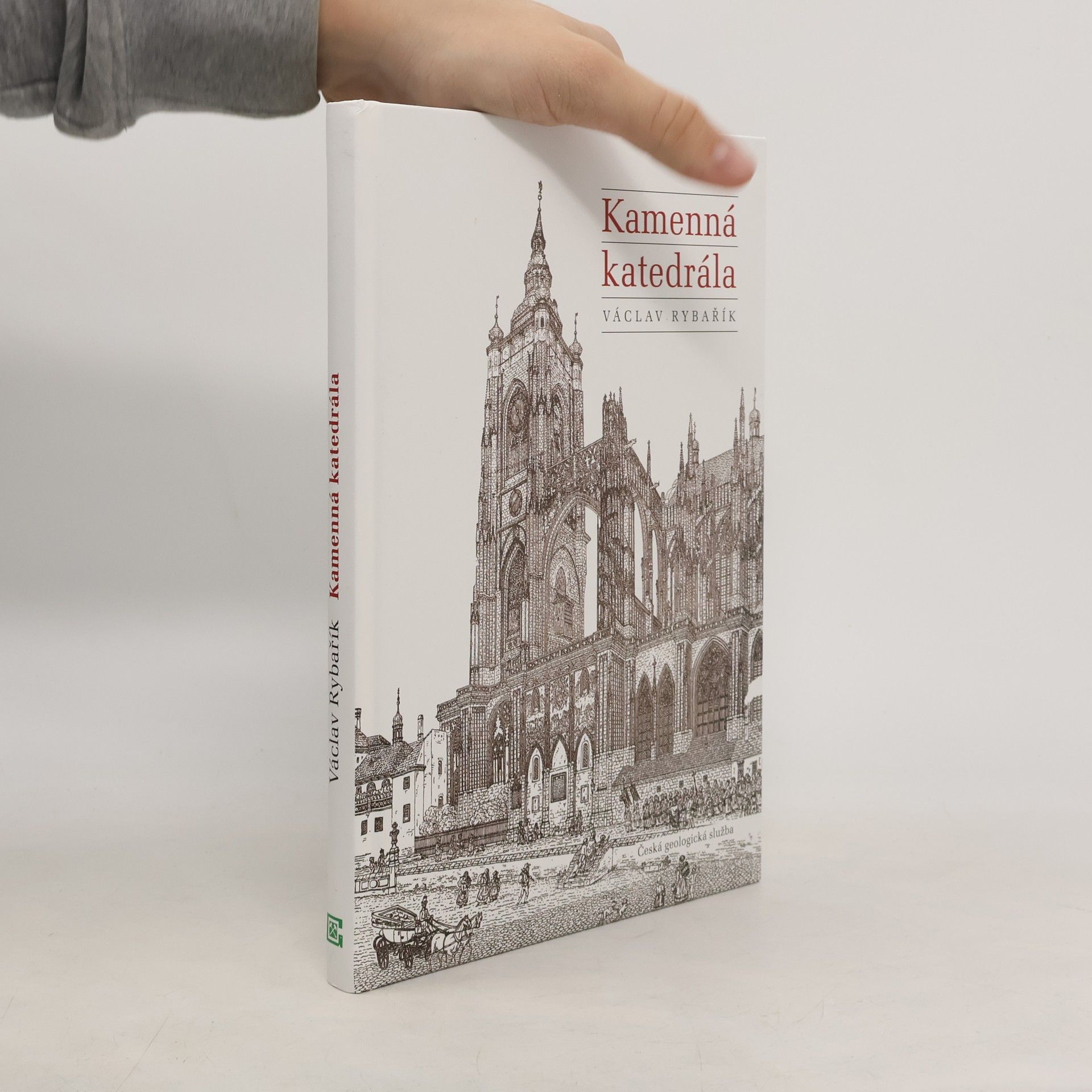 Václav Rybařík Kamenná katedrála : kámen v historii stavby, výzdoby a oprav katedrály sv. Víta, Václava a Vojtěcha v Praze