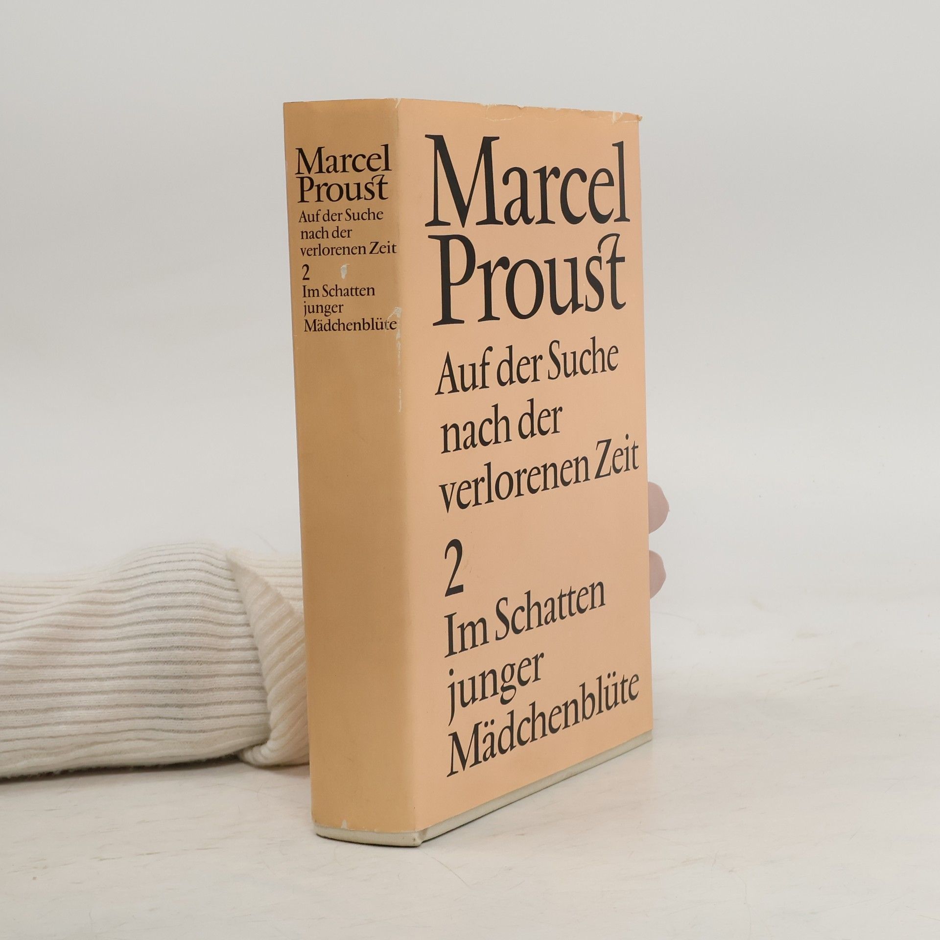 Marcel Proust Auf der Suche nach der Verlorenen Zeit 2