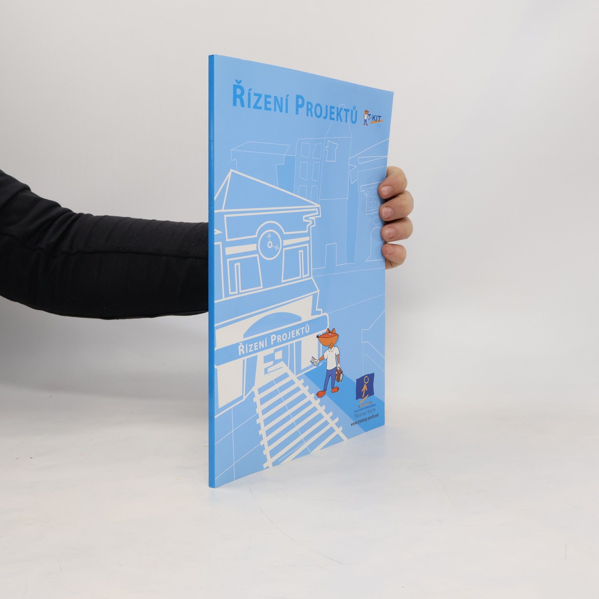 Kolektiv autorů Řízení projektů