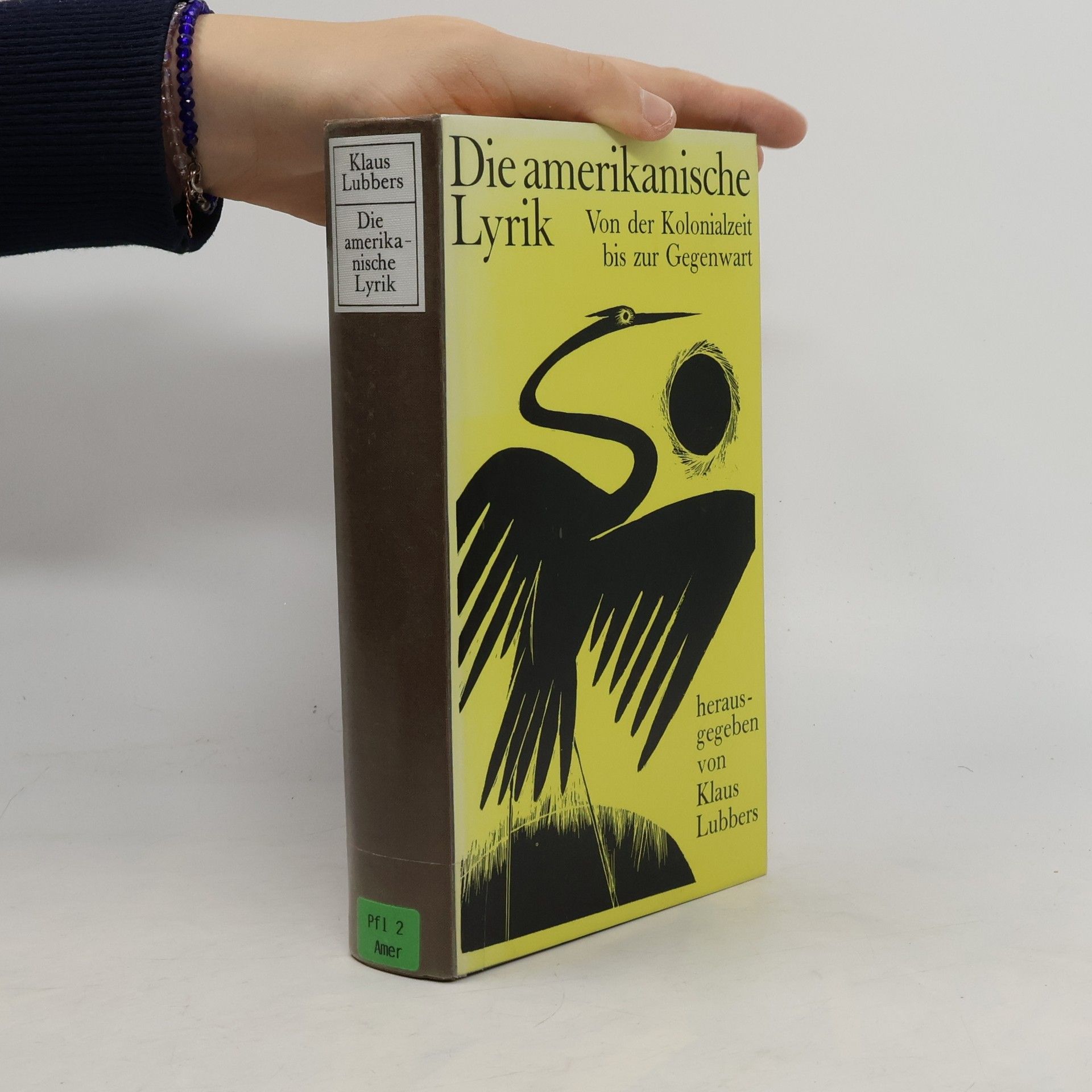 Klaus Lubbers Die amerikanische Lyrik