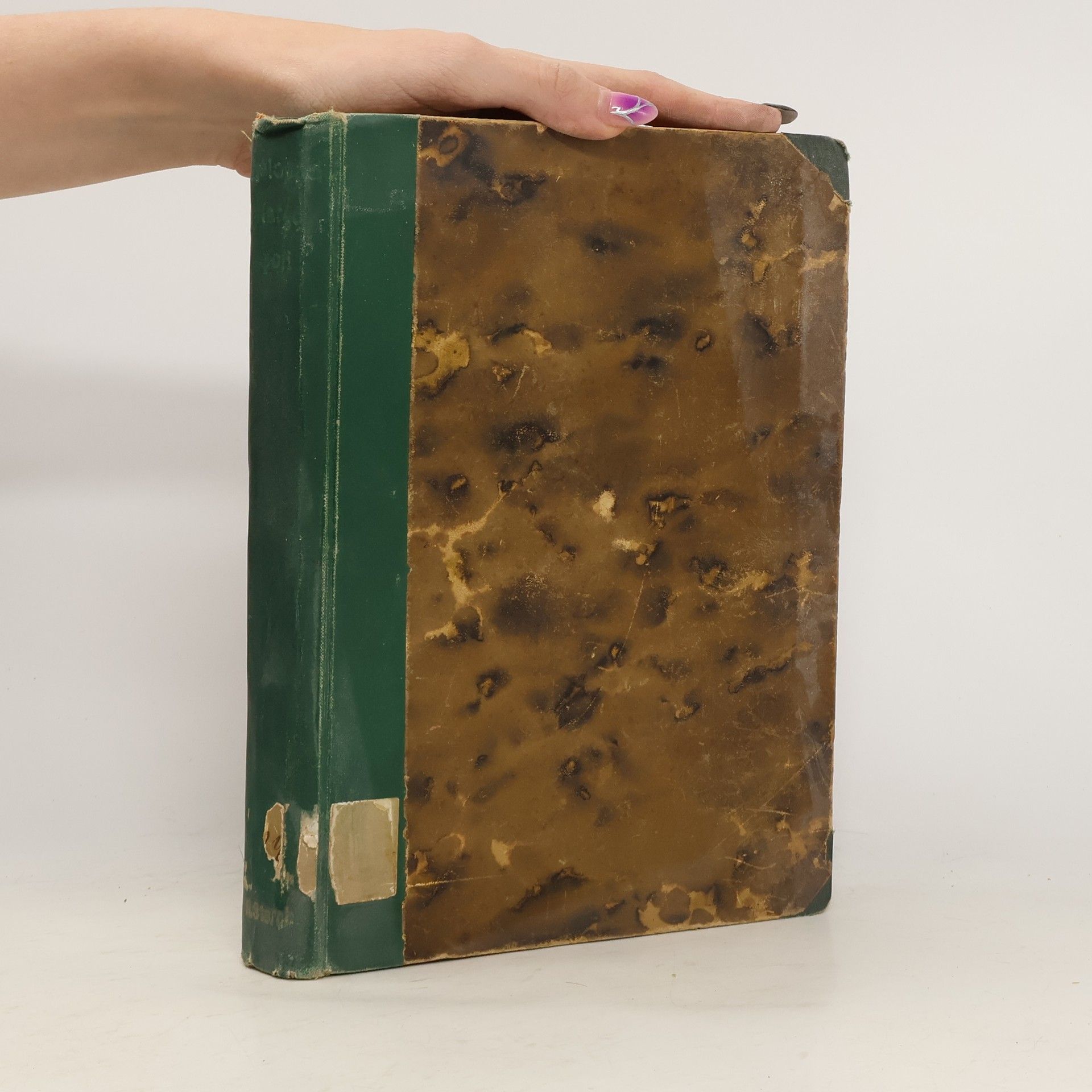 Královna Zlatých polí