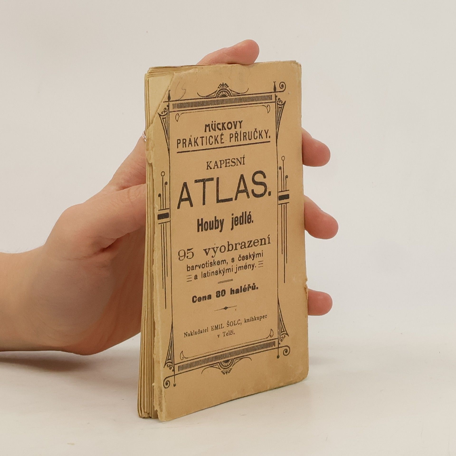 Kolektiv autorů Mückovy praktické příručky. Kapesní atlas housenek