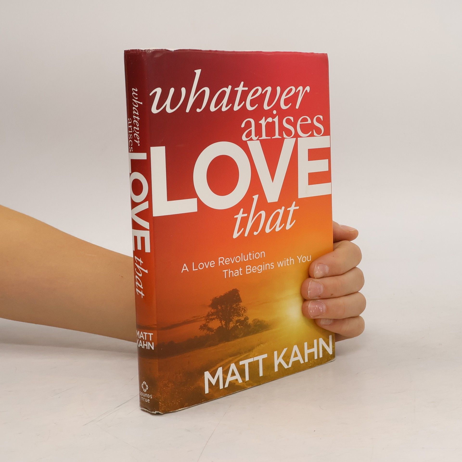 Whatever Arises, Love That