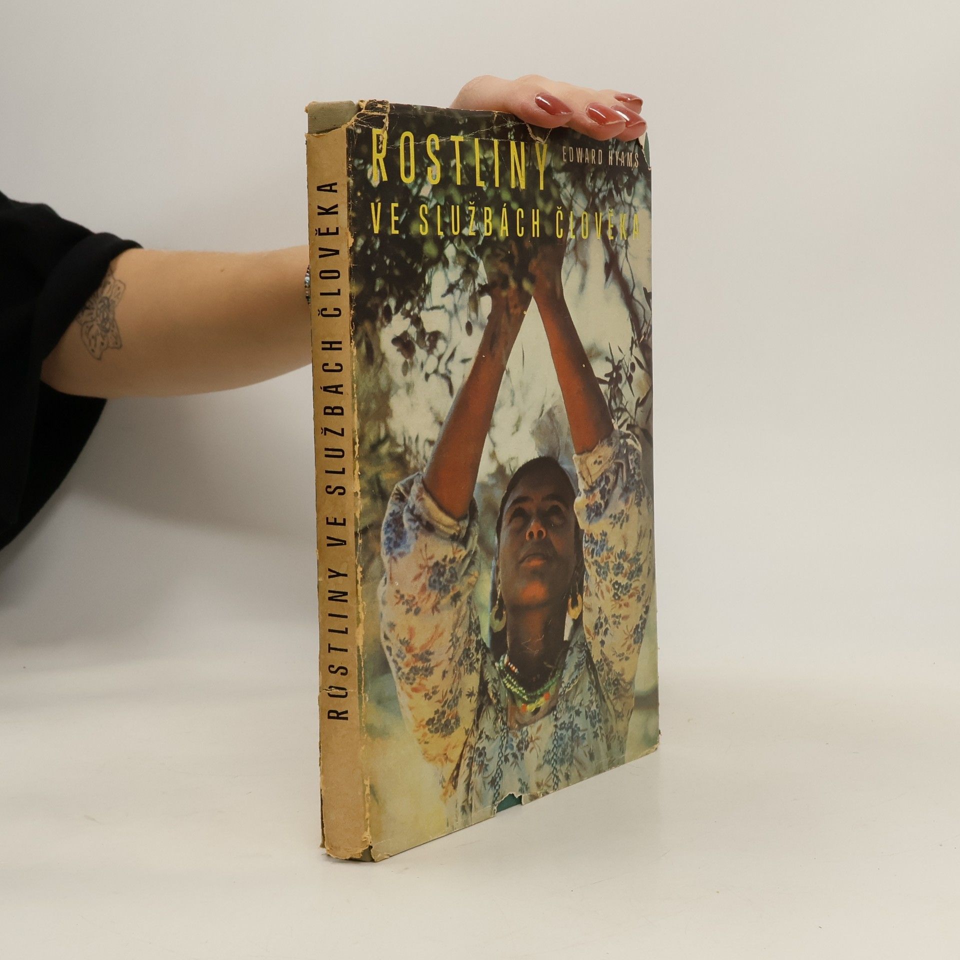 Rostliny ve službách člověka