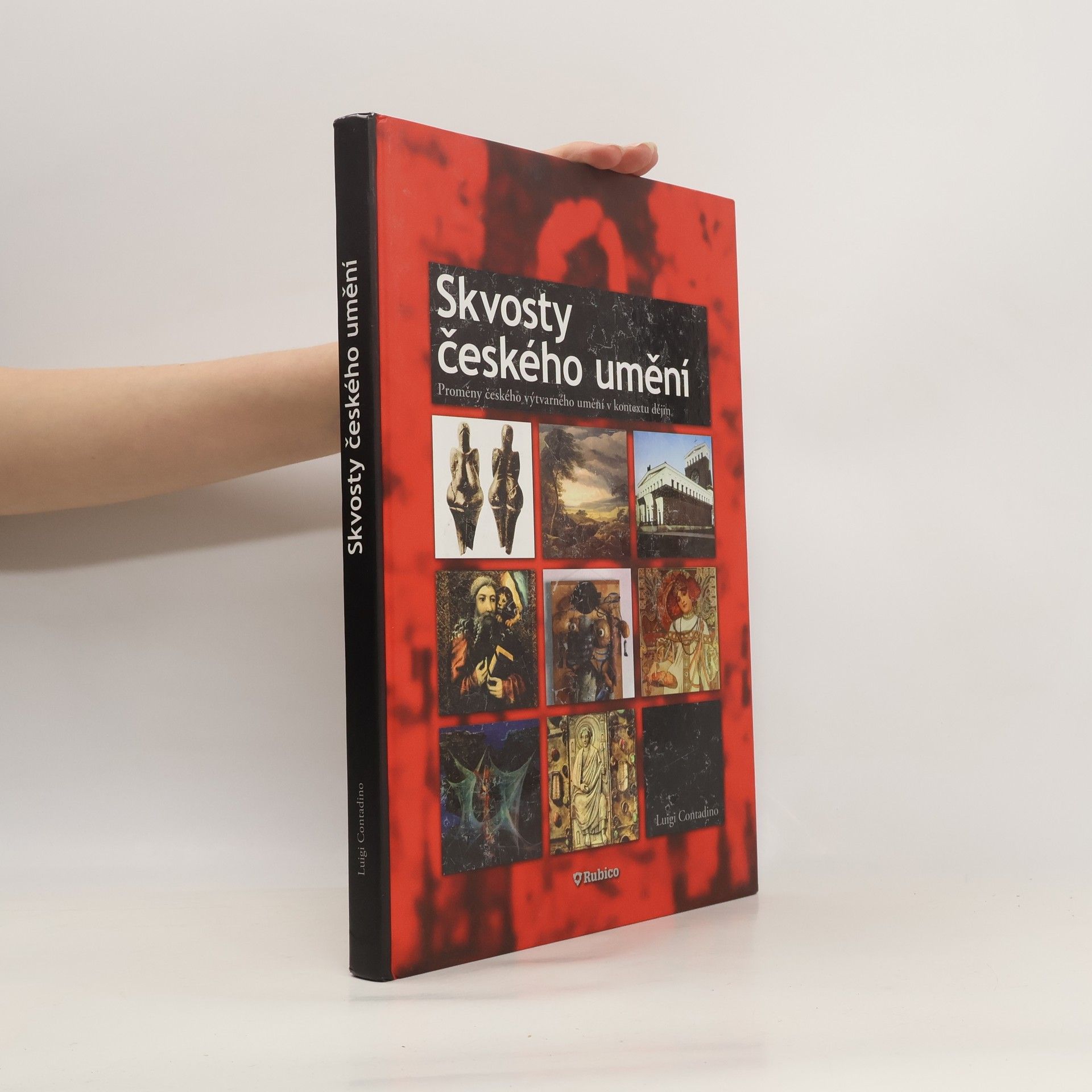 Luigi Contadino Skvosty českého umění : proměny českého výtvarného umění v kontextu dějin