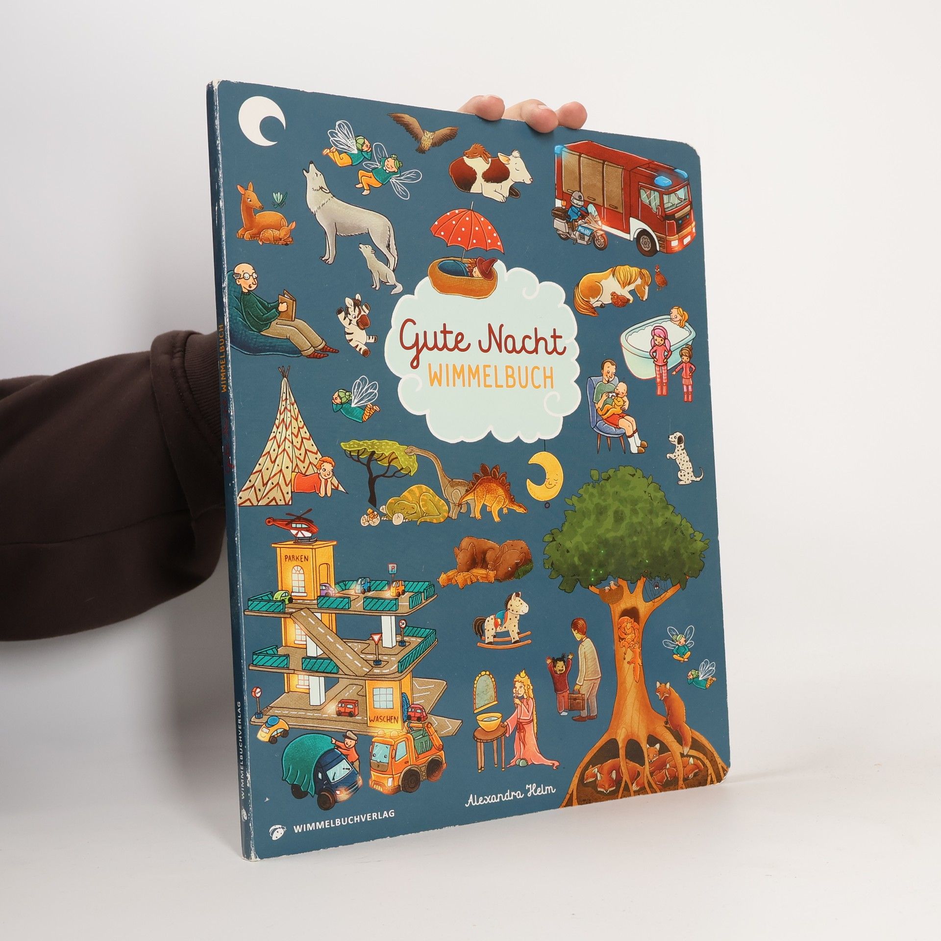 Alexandra Helm Gute Nacht Wimmelbuch