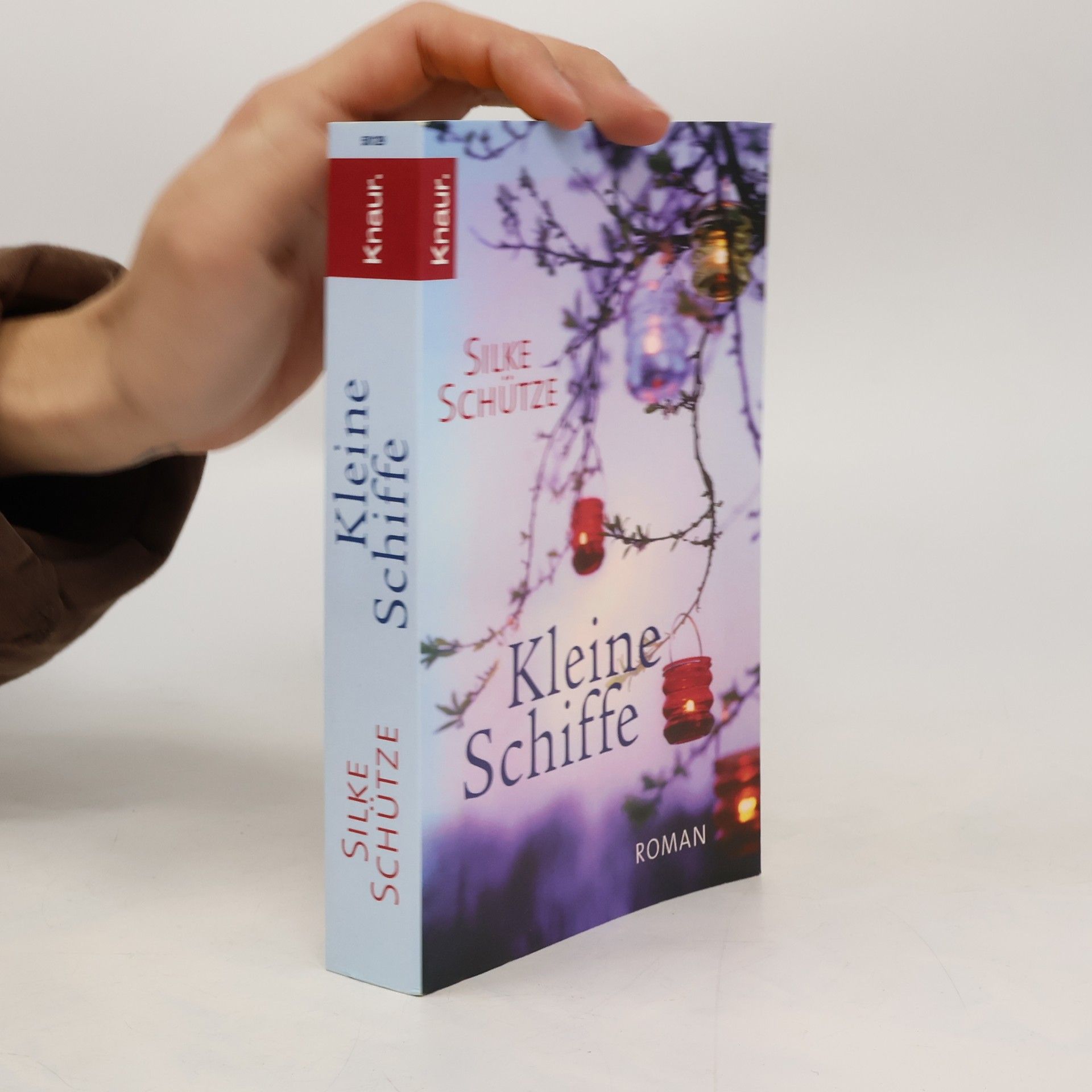 Silke Schütze Kleine Schiffe