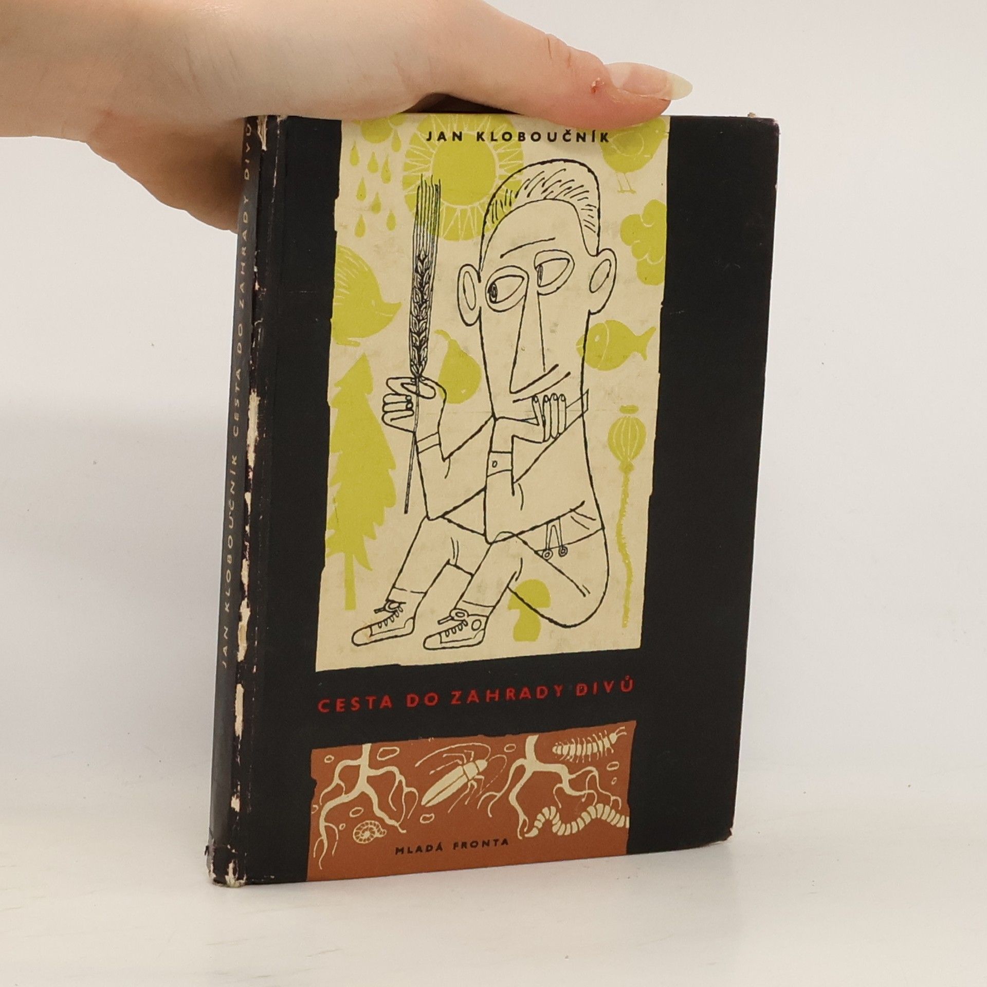 Jan Kloboučník Cesta do zahrady divů