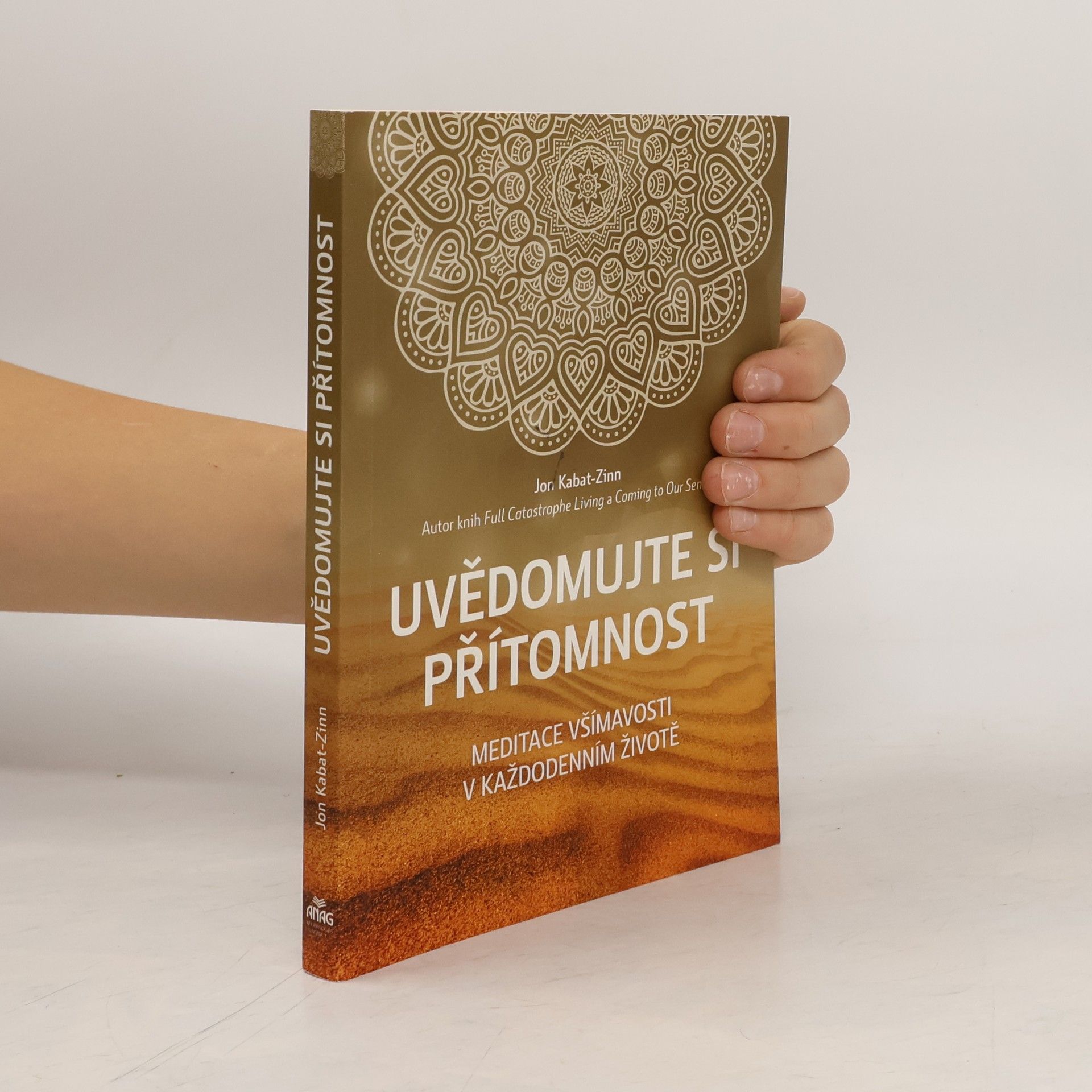 Jon Kabat-Zinn Uvědomujte si přítomnost: Meditace všímavosti v každodenním životě