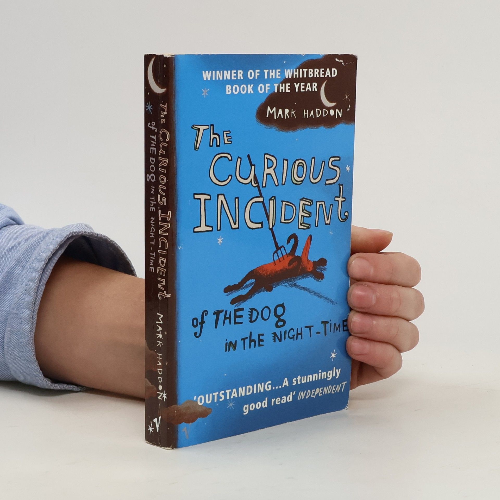 Mark Haddon The Curious Incident of The Dog in The Night-Time