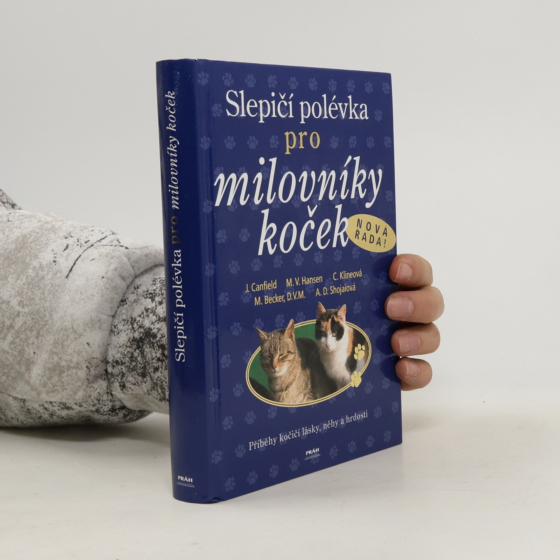 Jack Canfield Slepičí polévka pro milovníky koček: Příběhy o kočičí věrnosti, radosti i odvaze