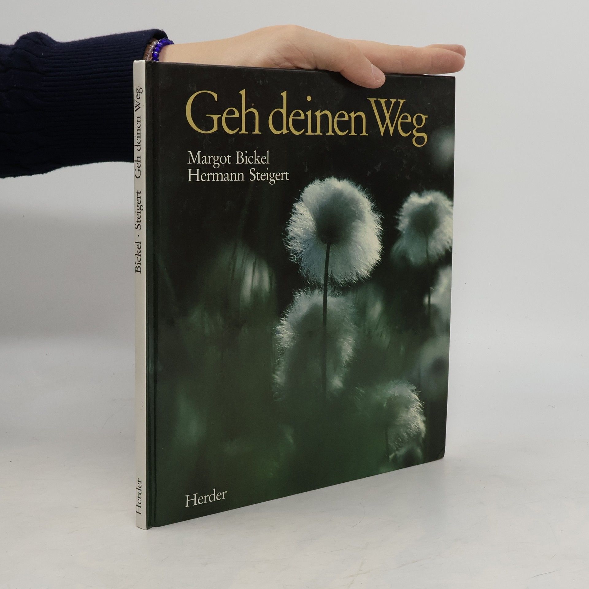 Margot Bickel Geh deinen Weg