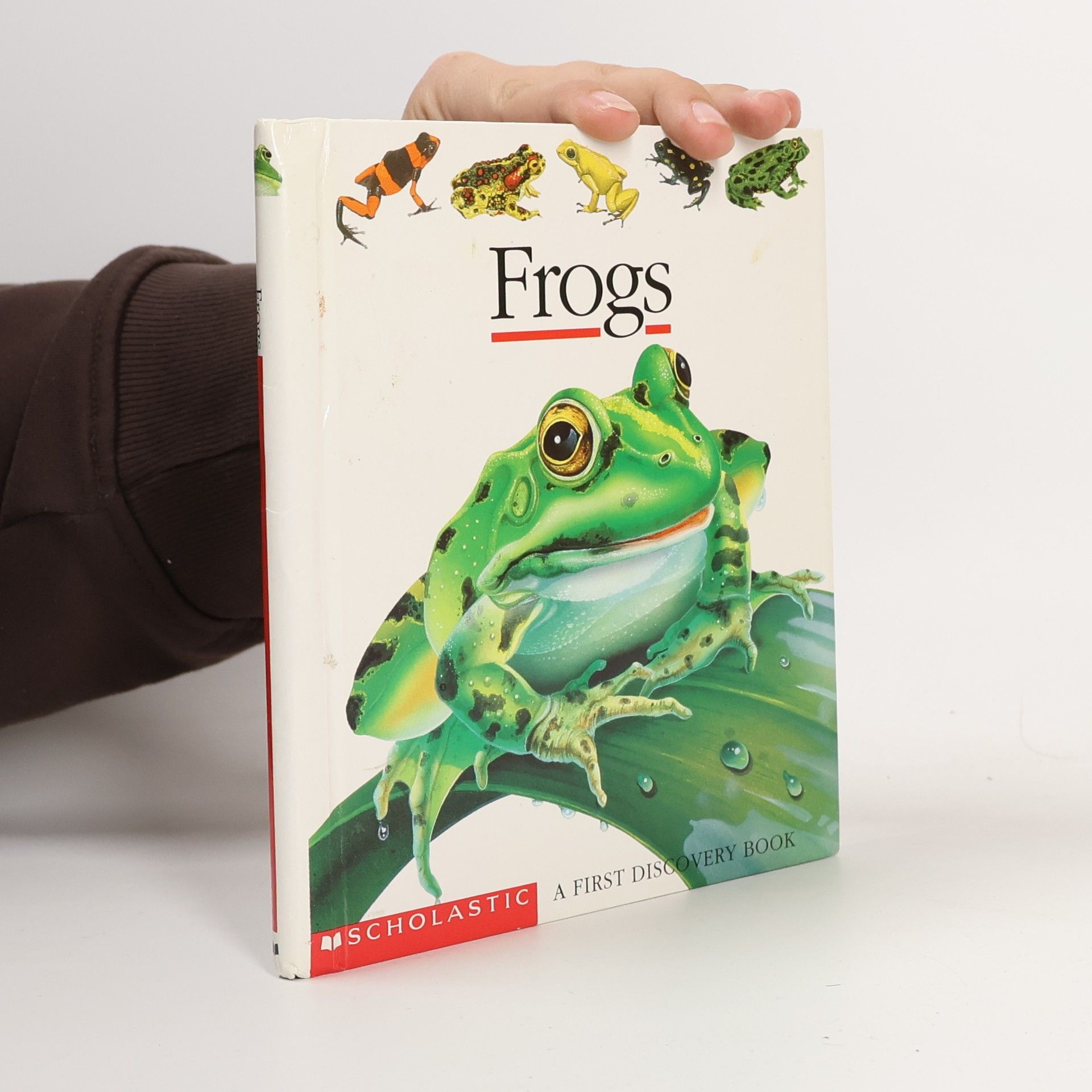 Daniel Moignot Frogs