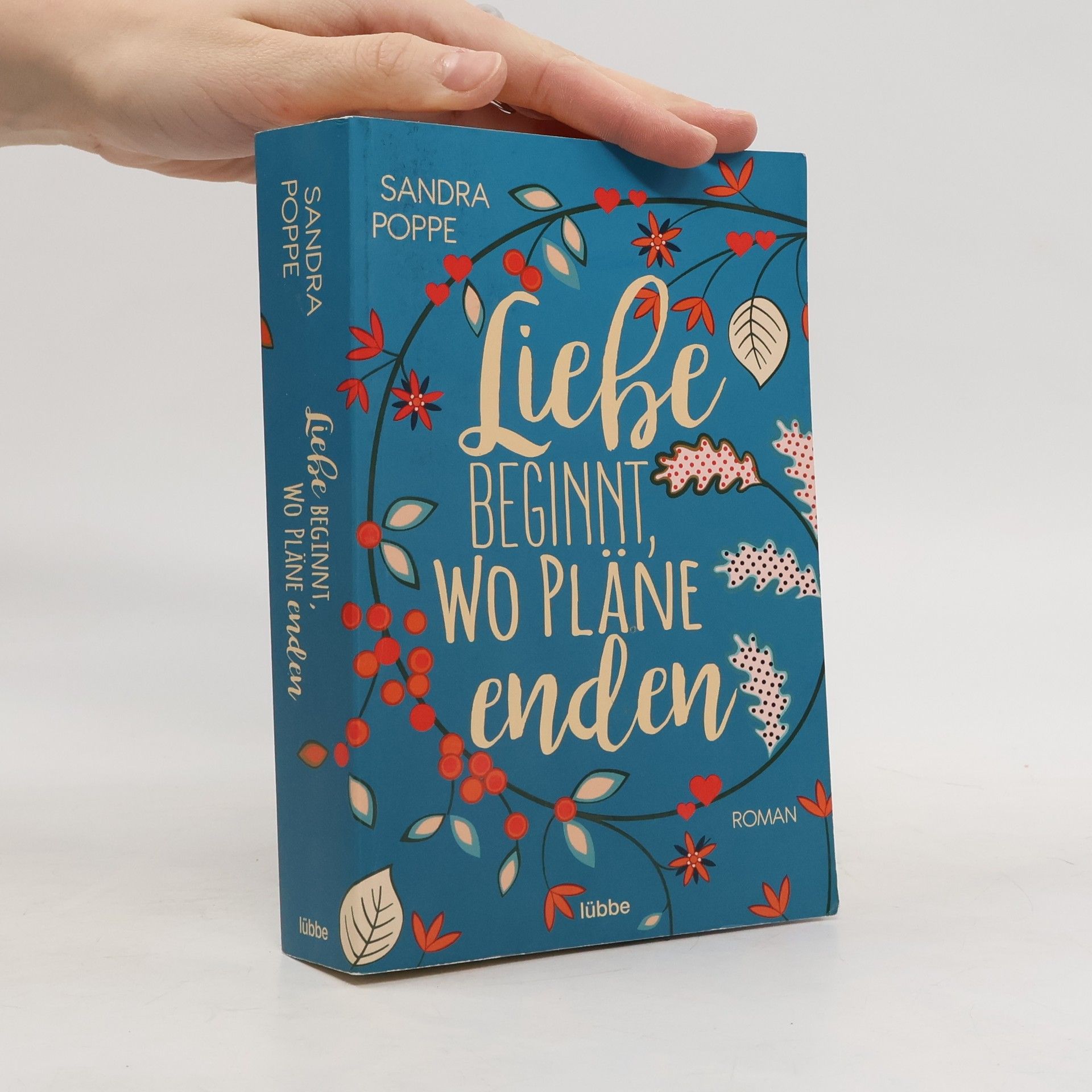 Sandra Poppe Liebe beginnt, wo Pläne enden