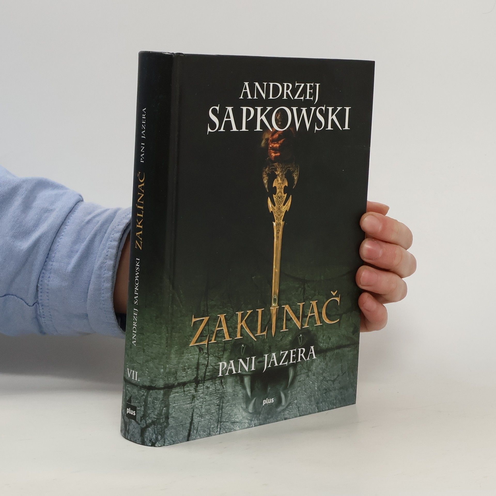 Andrzej Sapkowski Zaklínač. VII, Pani jazera. Slovensky.