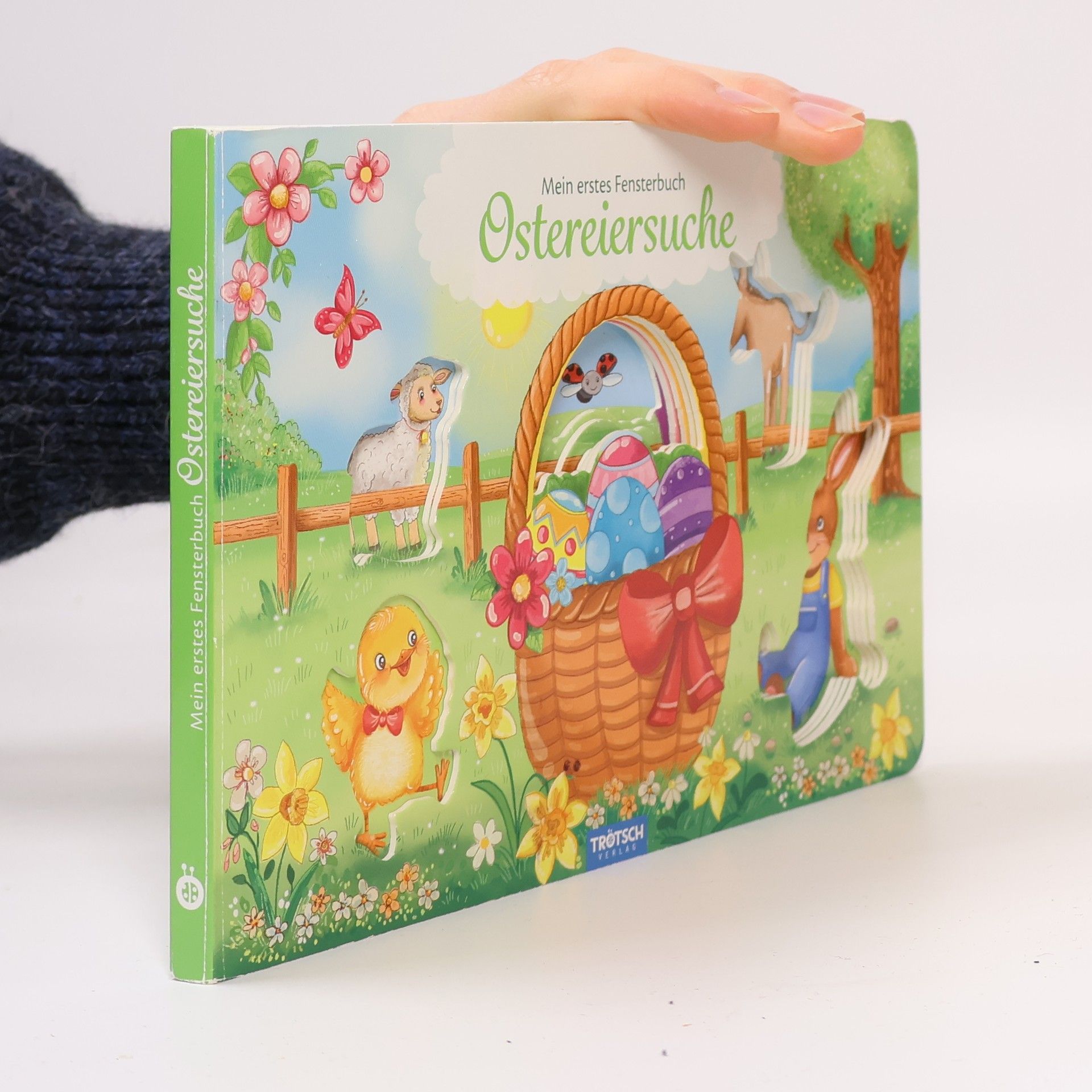 Collectif d'auteurs Mein erstes Fensterbuch