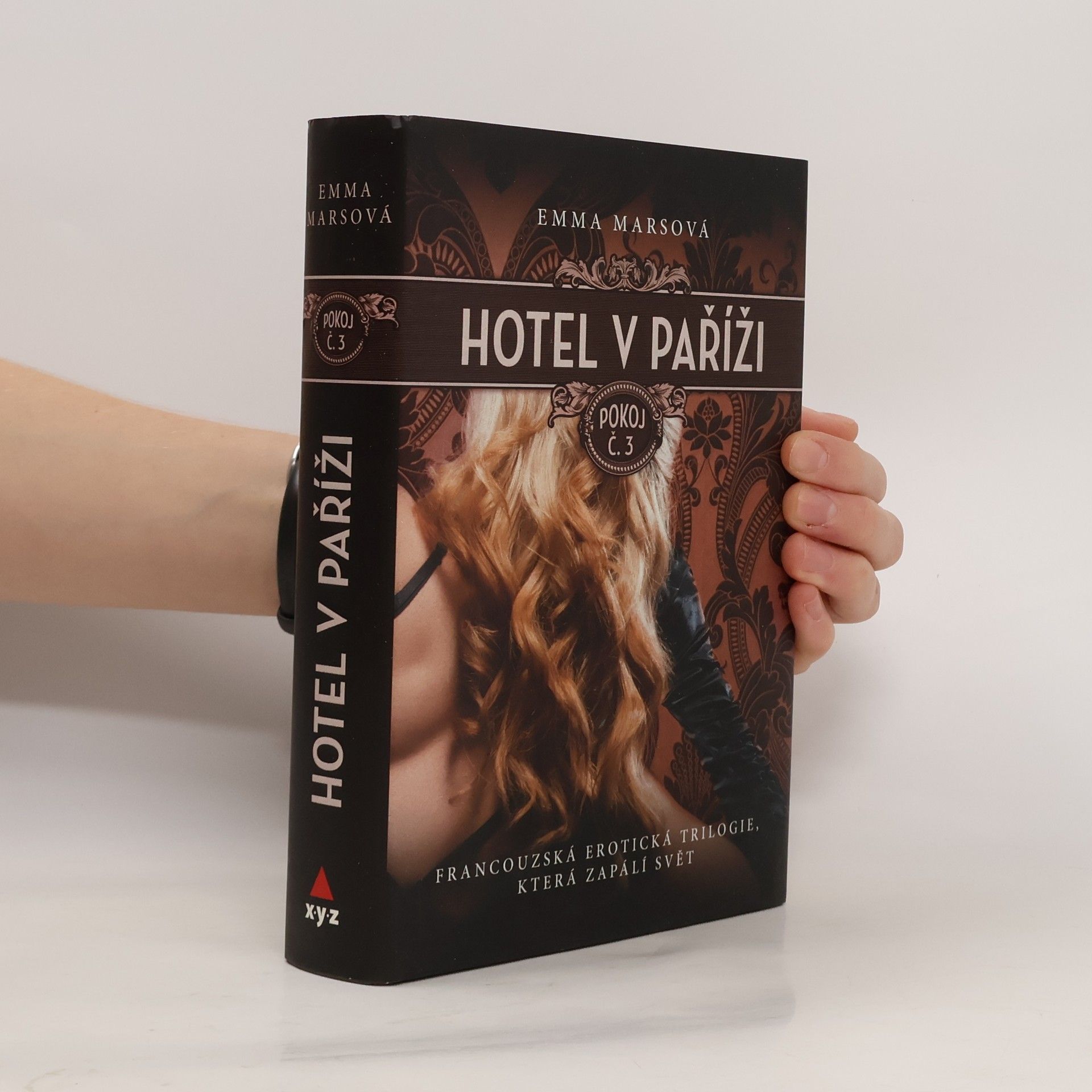 Emma Mars Hotel v Paříži. Pokoj č. 3