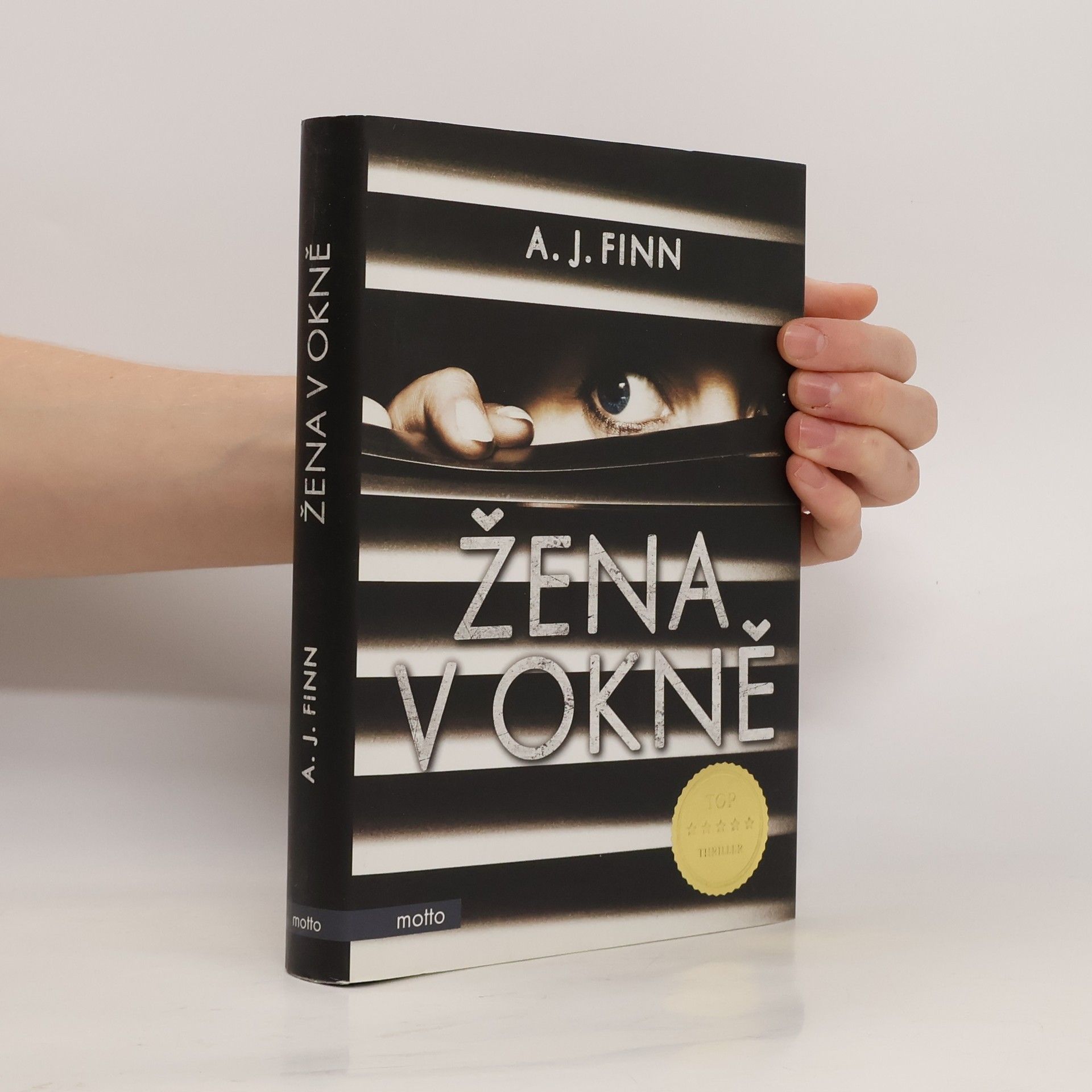 Daniel Mallory Žena v okně