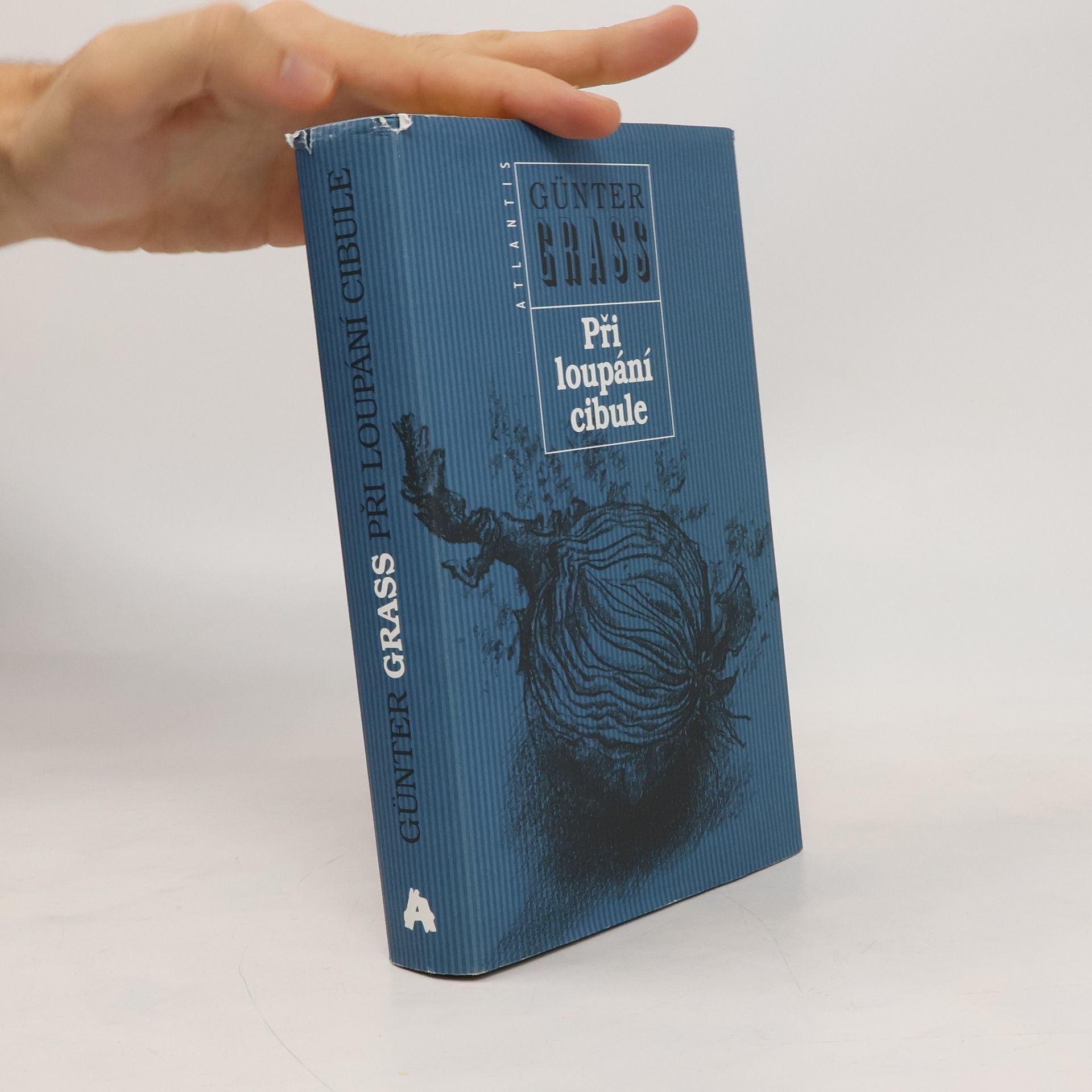 Při loupání cibule