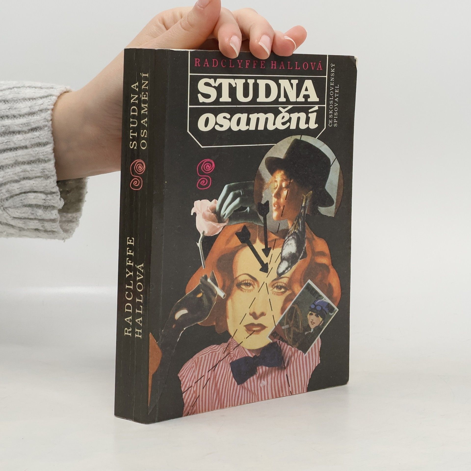 Radclyffe Hall Studna osamění