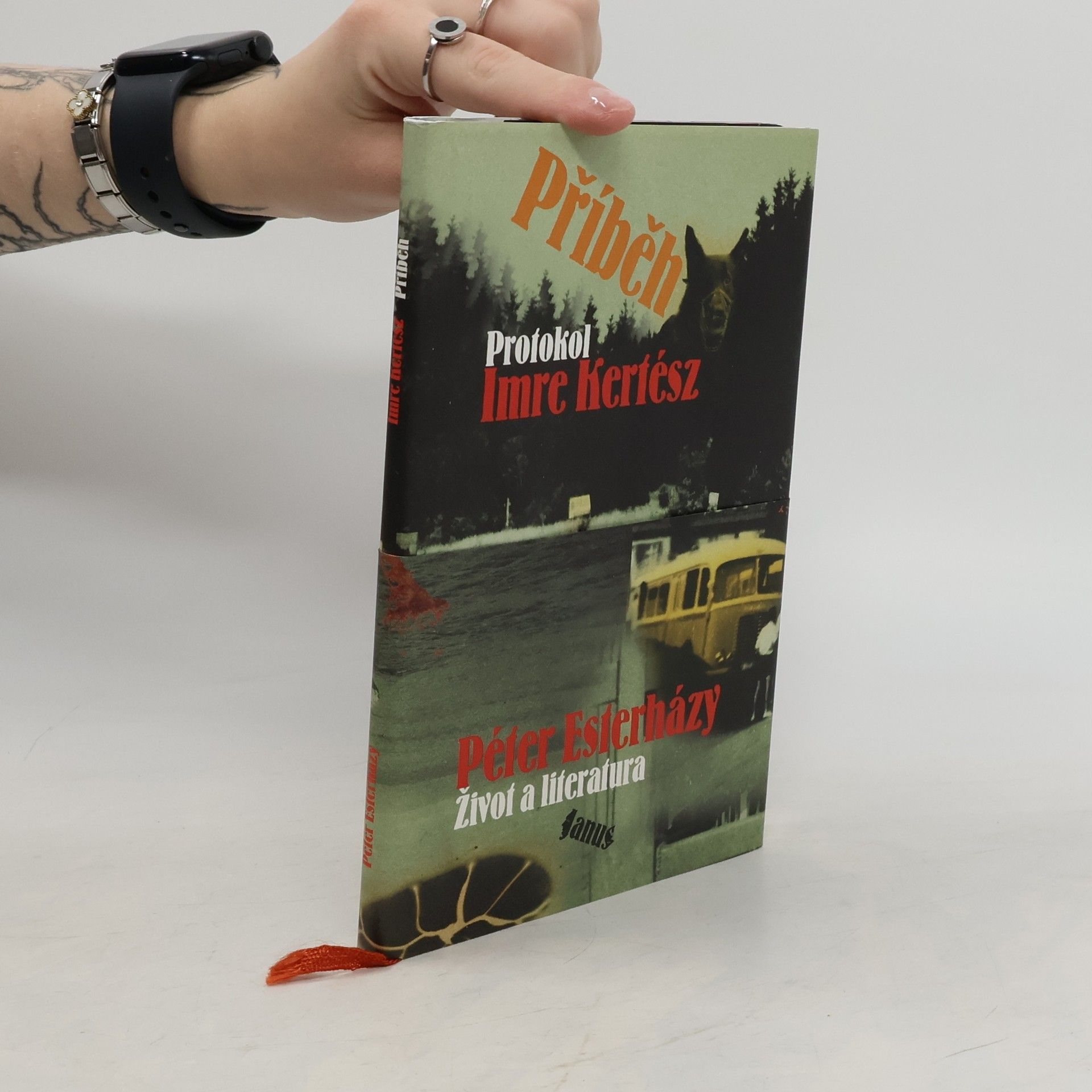 Imre Kertész Příběh