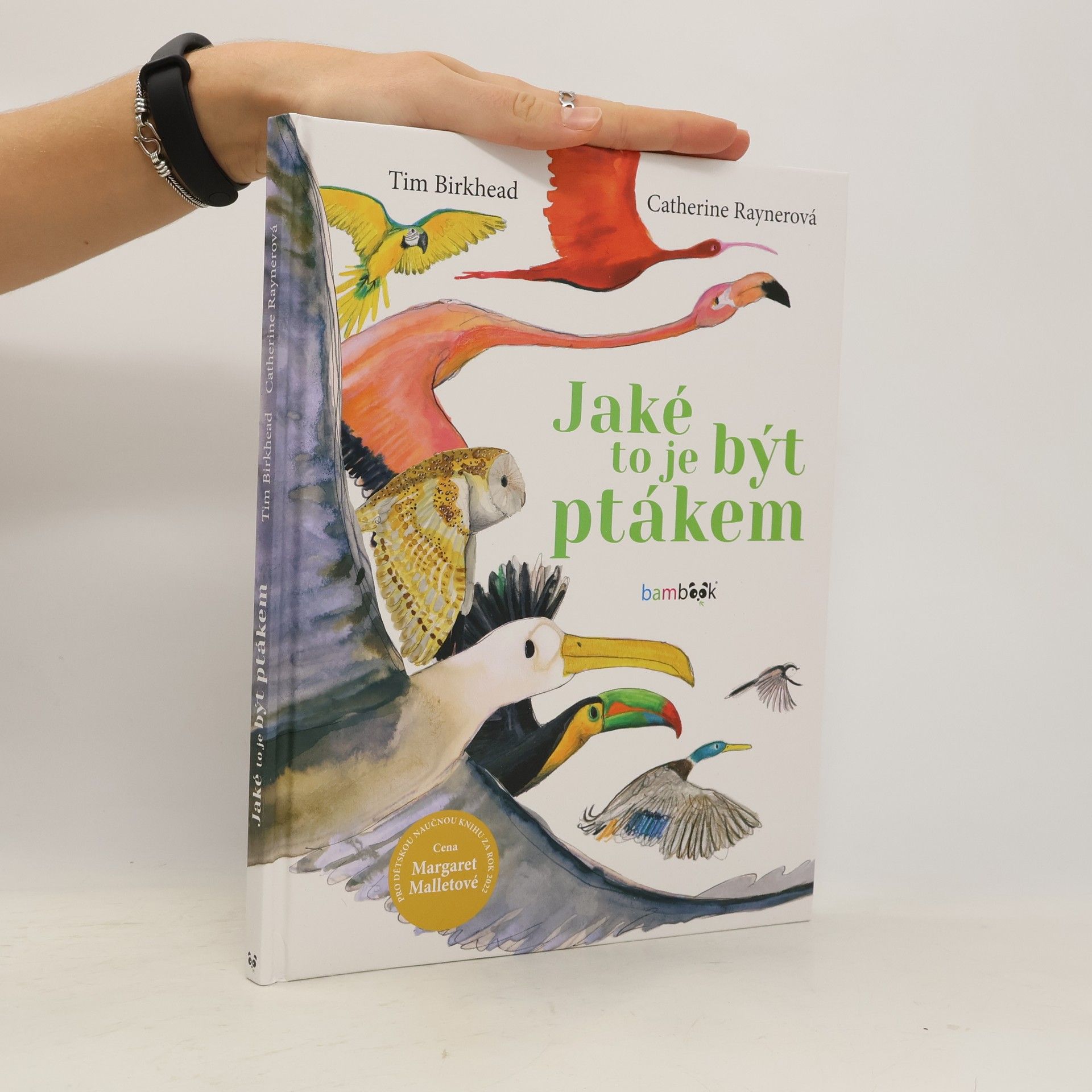 Jaké to je být ptákem