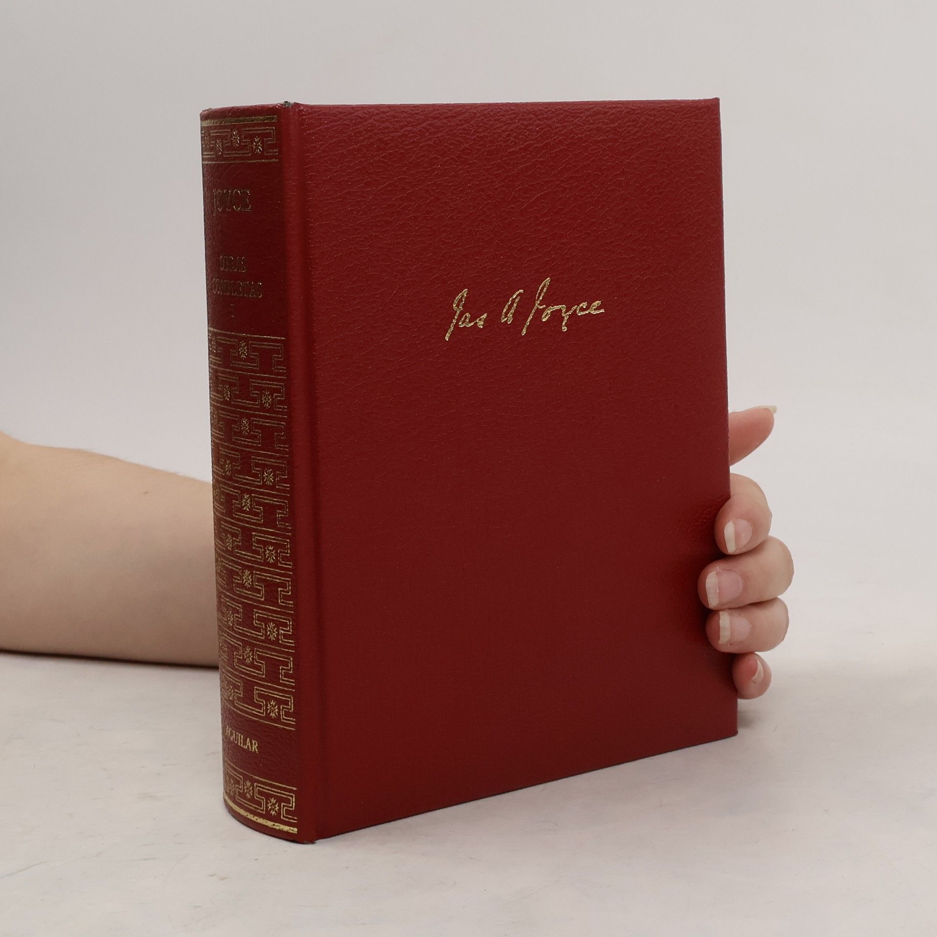 James Joyce Obras Completas I