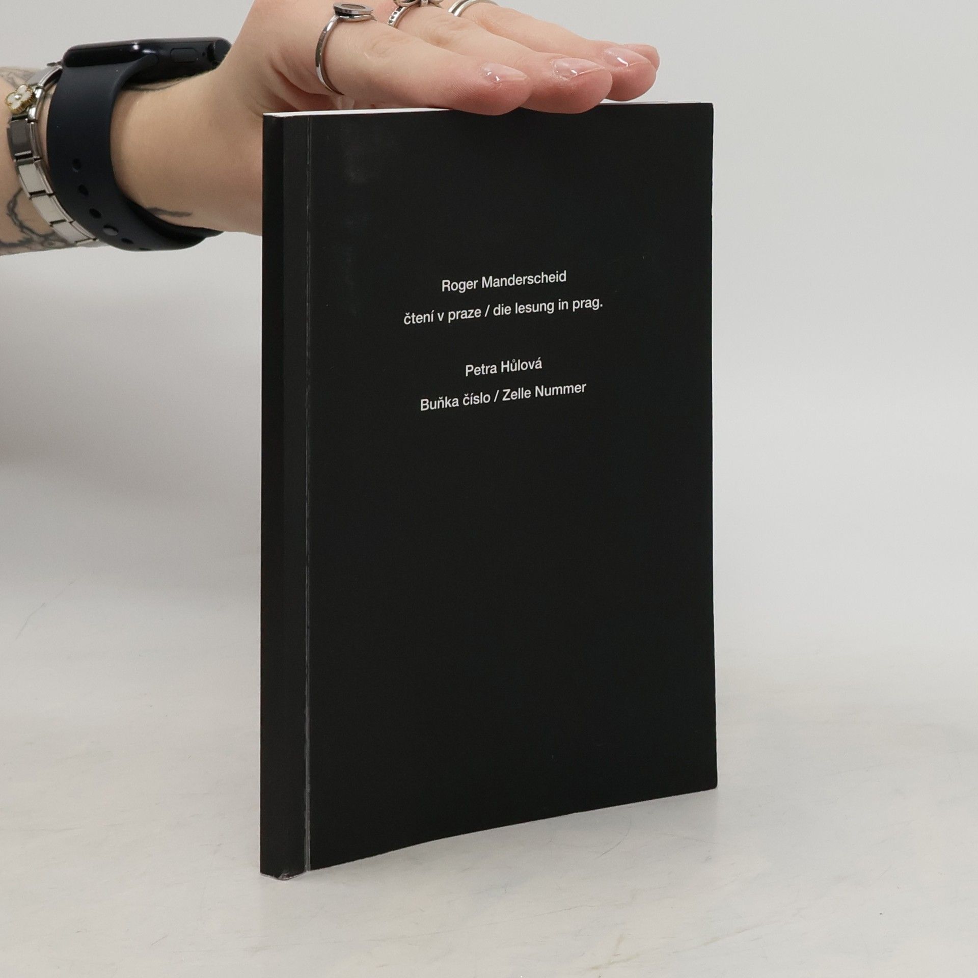 Čtení v Praze. Die Lesung in Prag