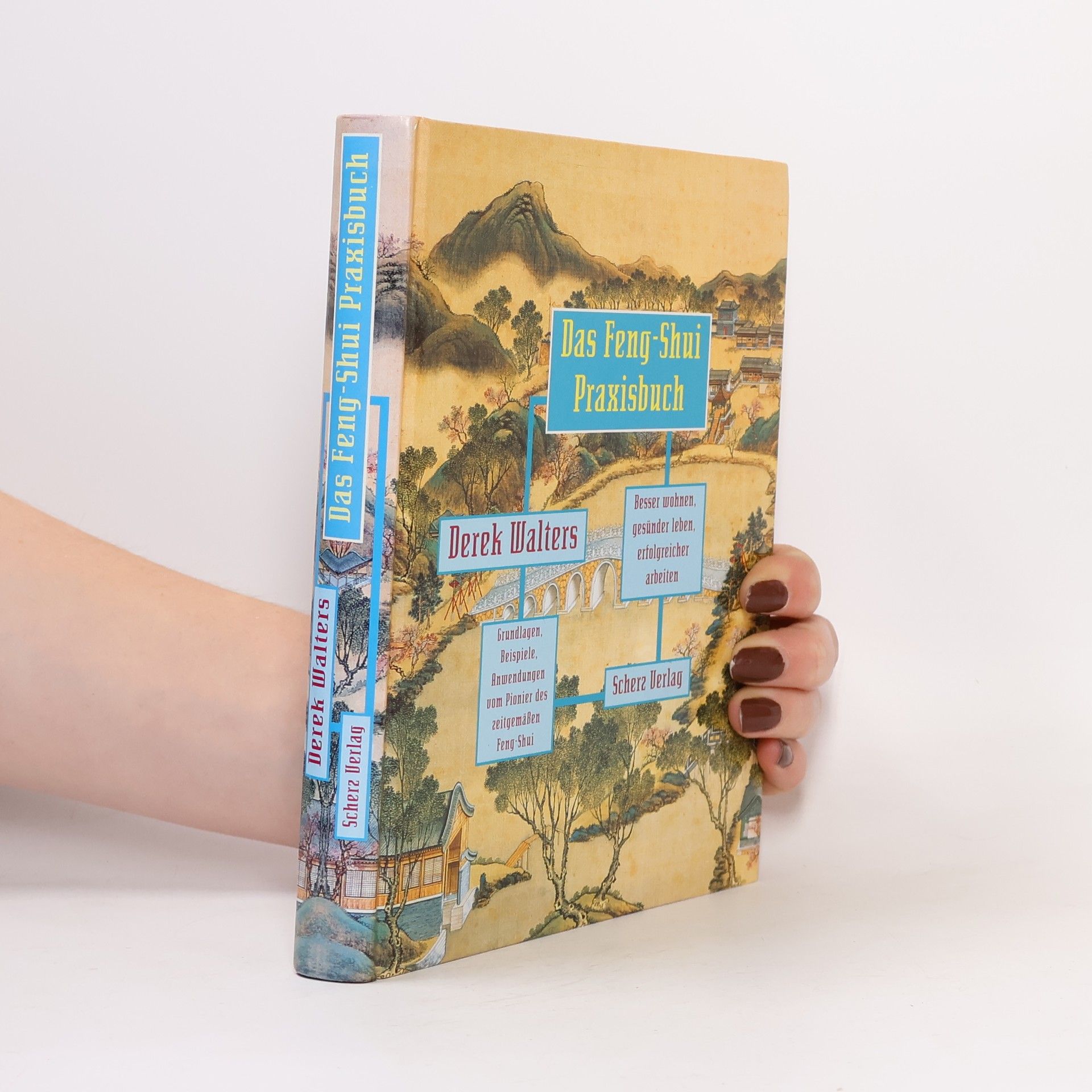 Derek Walters Das Feng-Shui-Praxisbuch