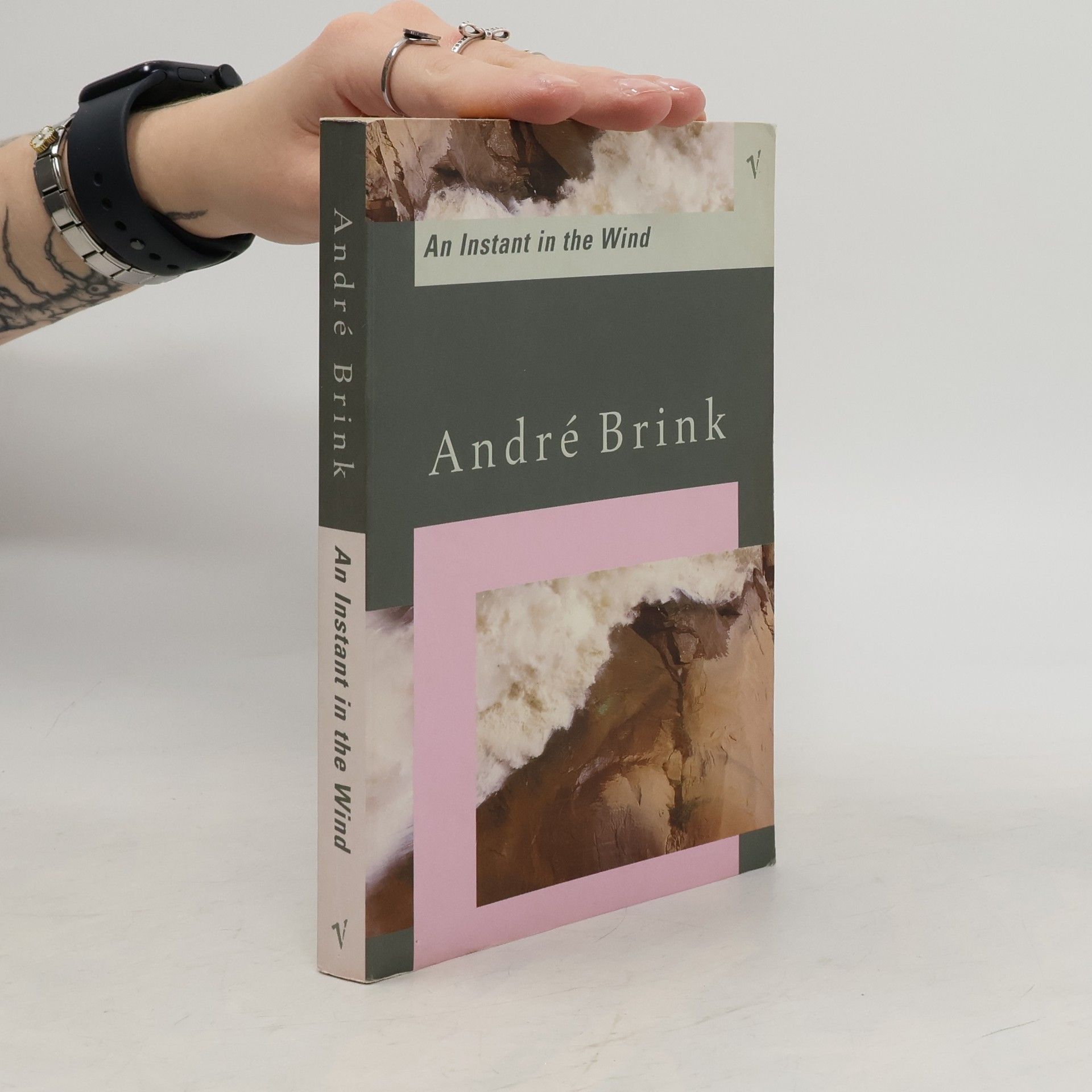 André Brink An Instant in the Wind