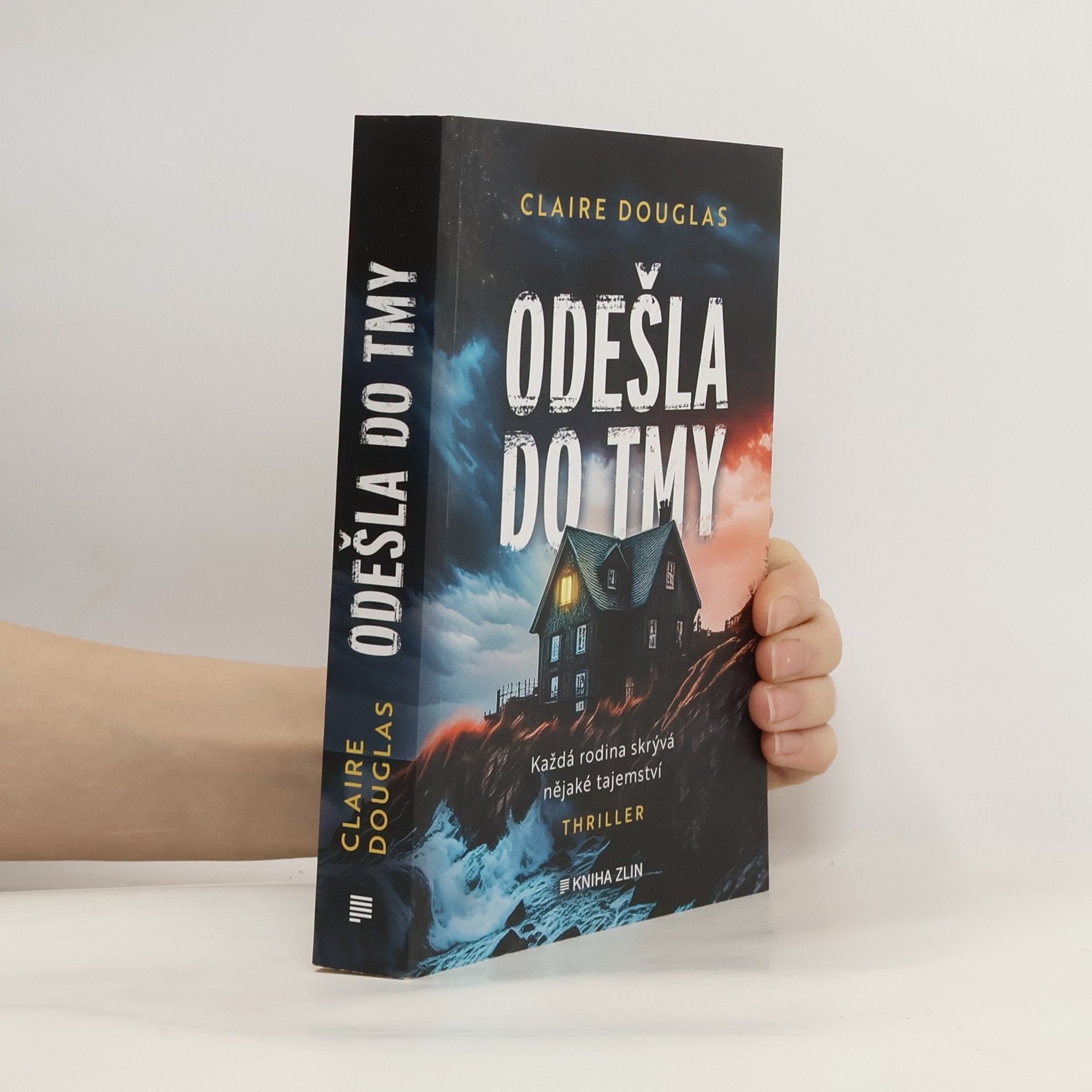 Claire Douglas Odešla do tmy