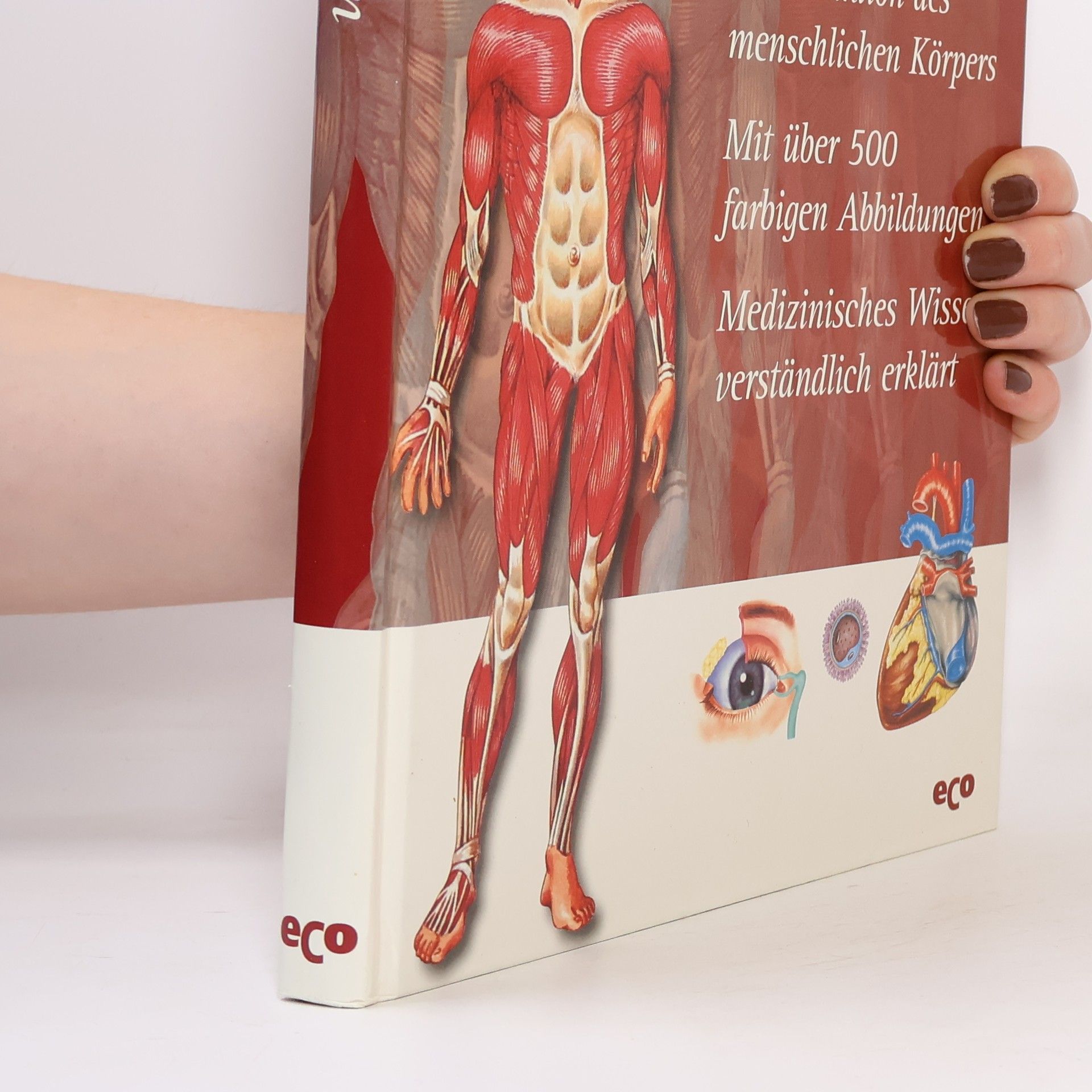 Michael Damm Atlas des Menschen