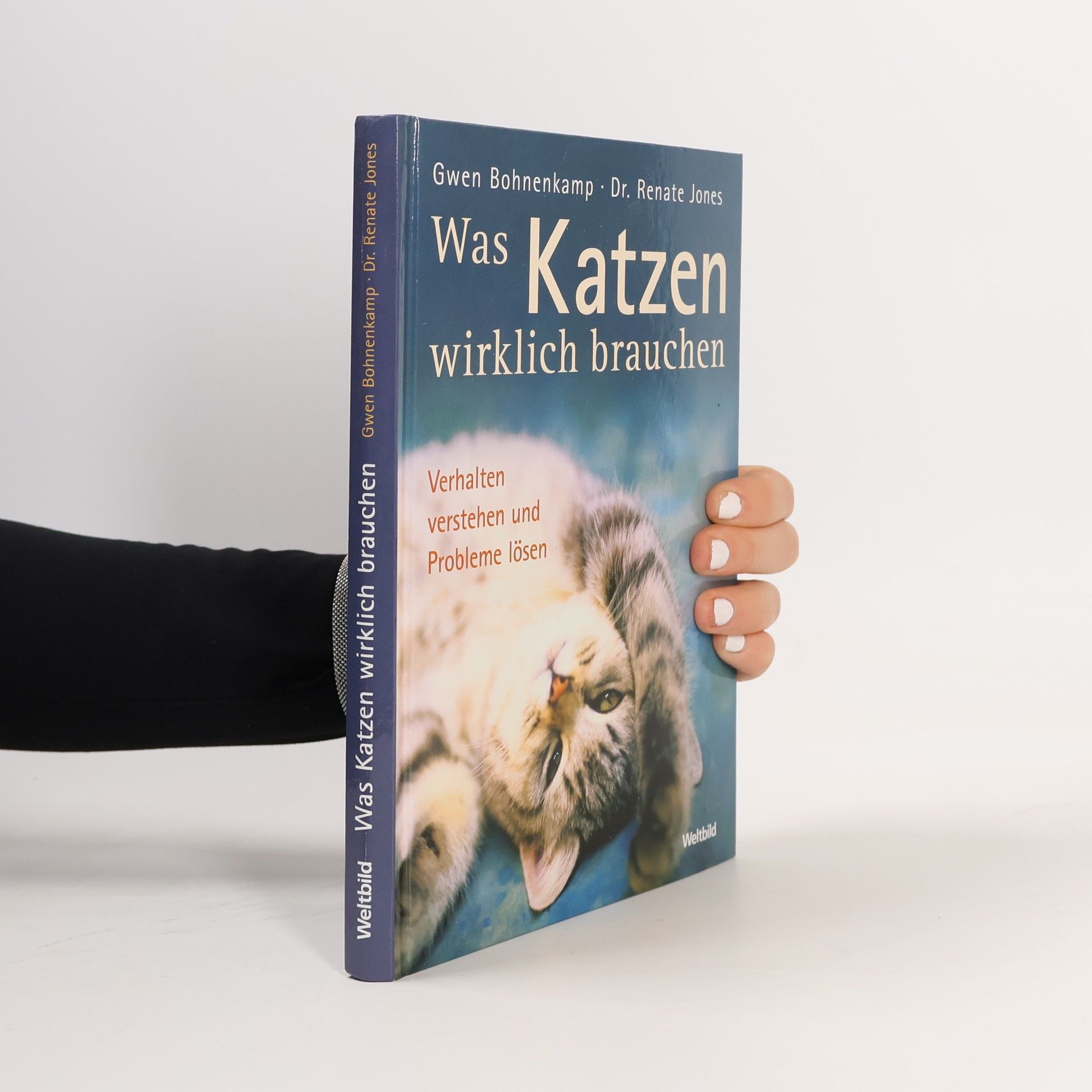 Gwen Bohnenkamp Was Katzen wirklich brauchen