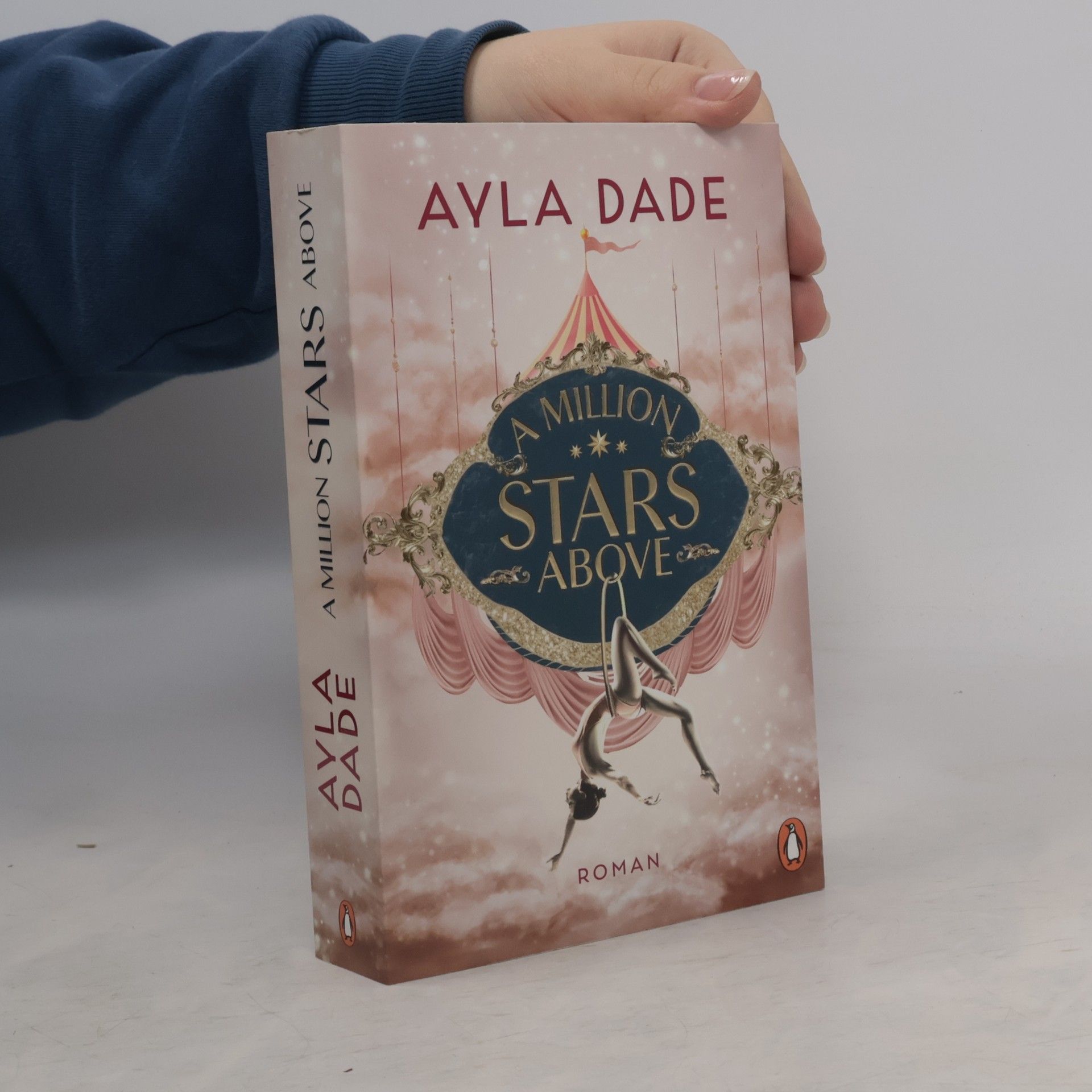 Ayla Dade A Million Stars Above / Sky Circus Bd.1