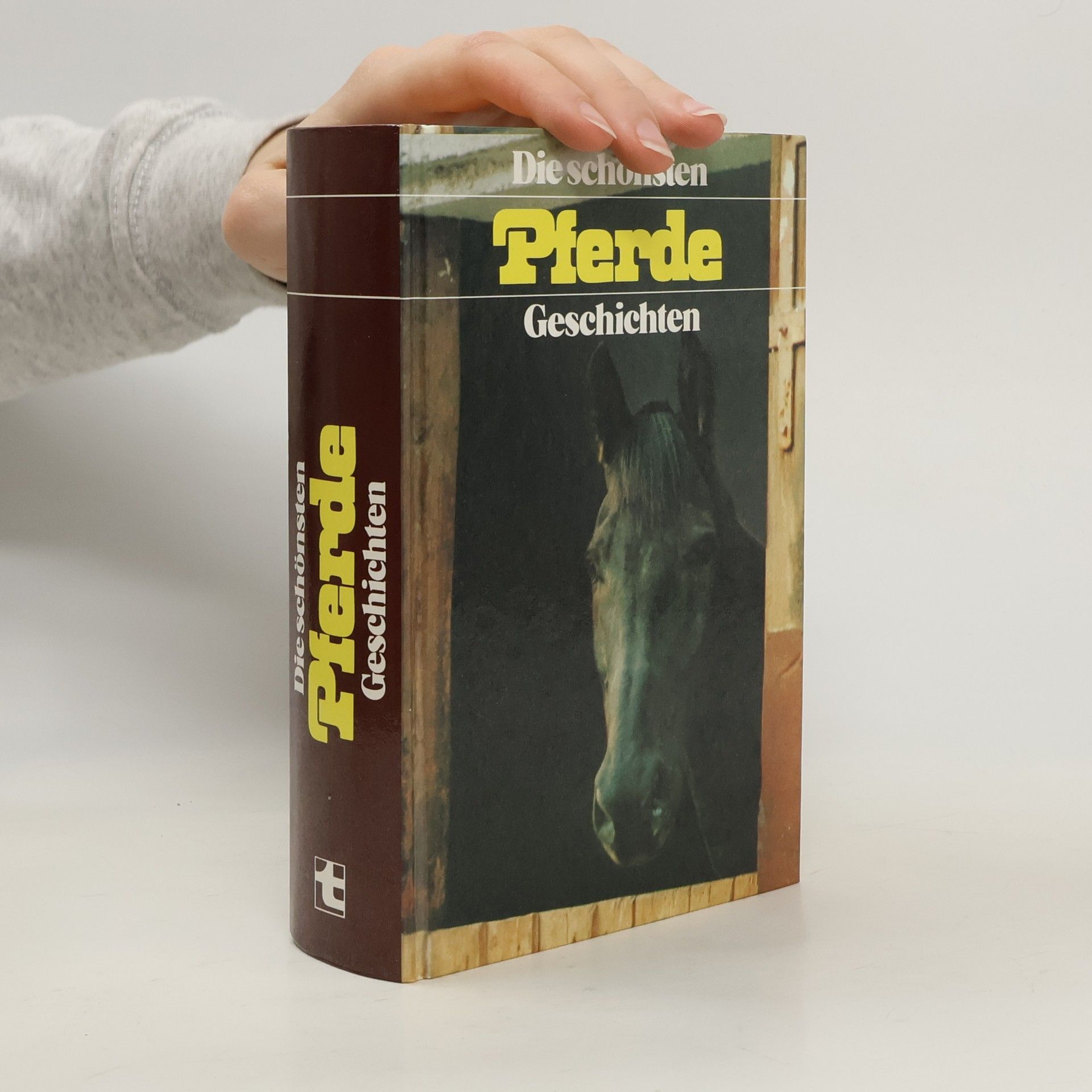 Autores varios Die schönsten Pferde Geschichten