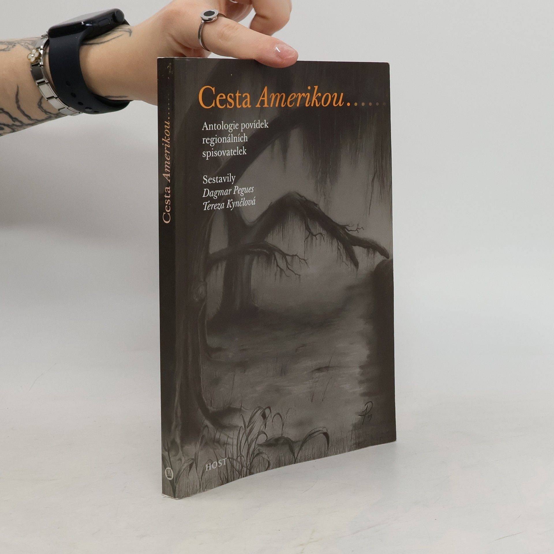 Dagmar Pegues Cesta Amerikou