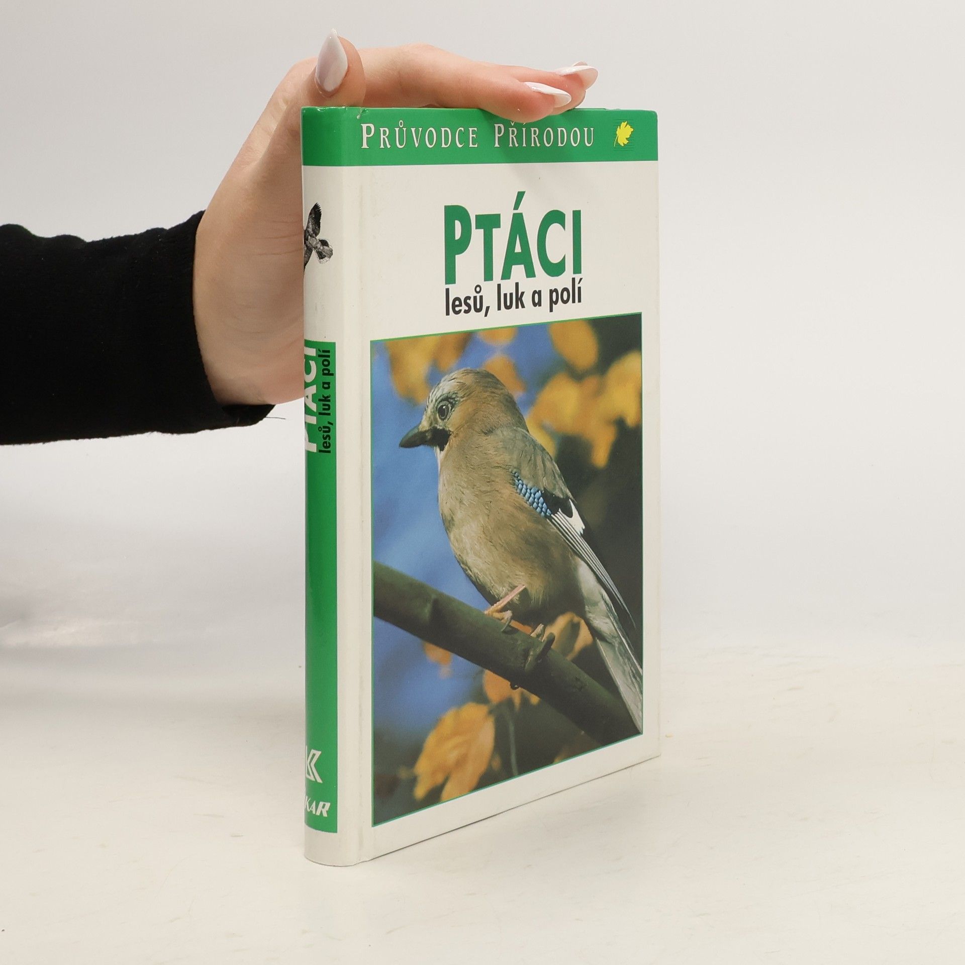 Sauer Frieder Ptáci lesů, luk a polí