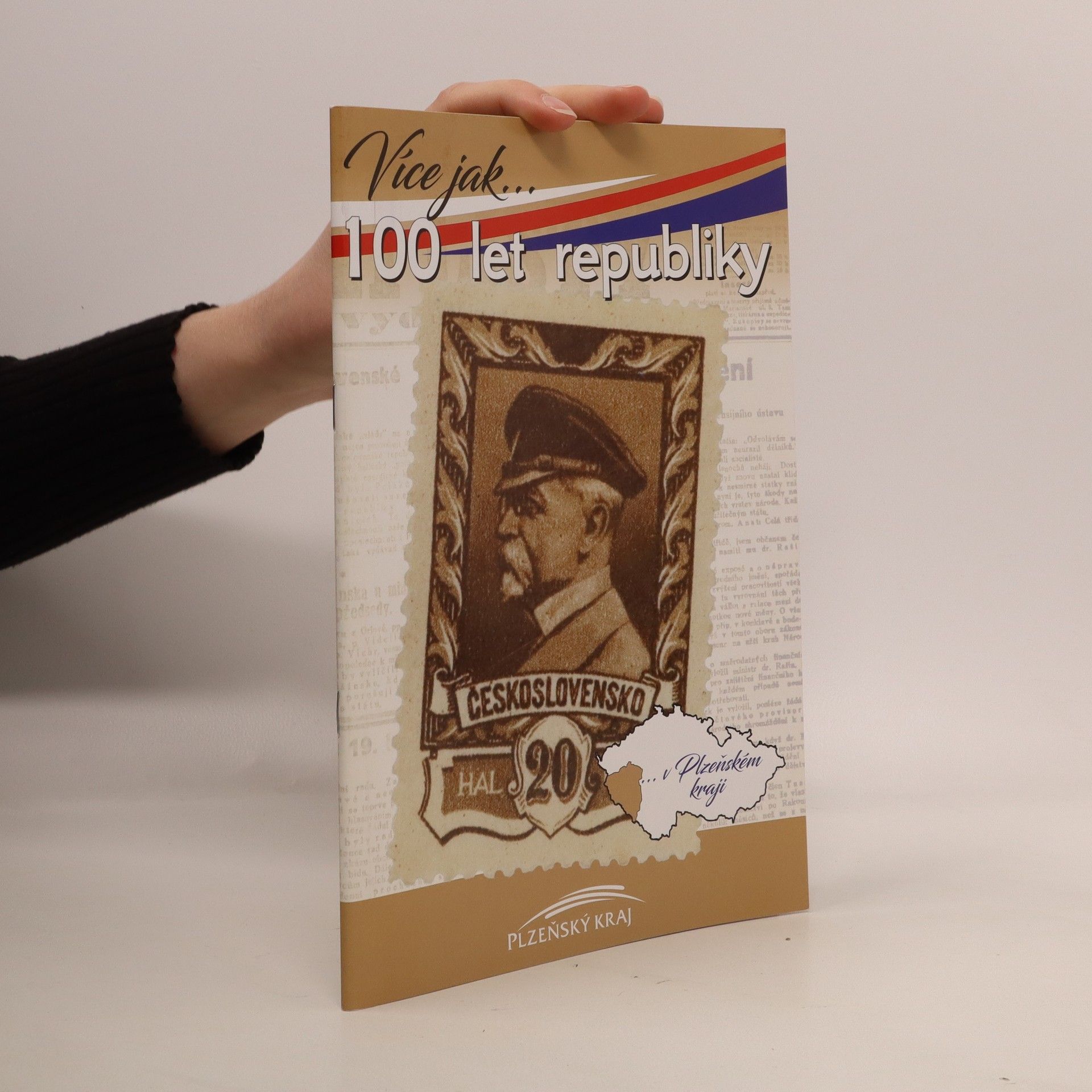 Autorenkollektiv Více jak... 100 let republiky v Plzeňském kraji