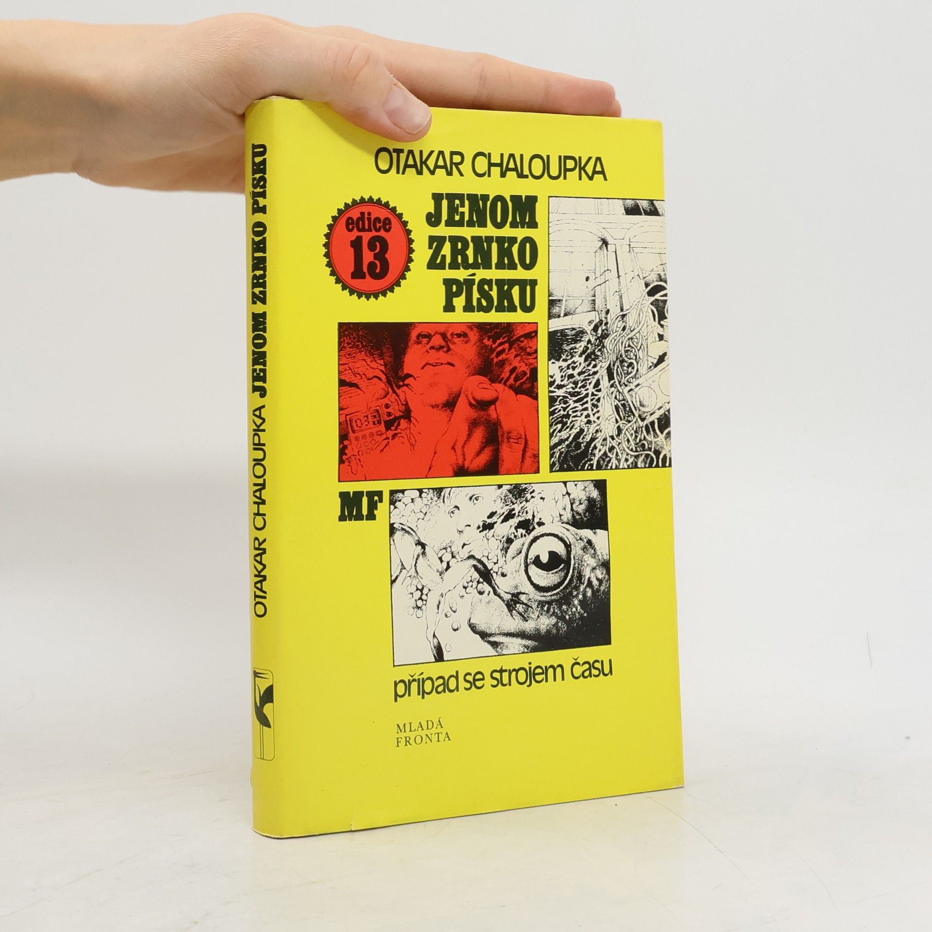 Otakar Chaloupka Jenom zrnko písku. Případ se strojem času