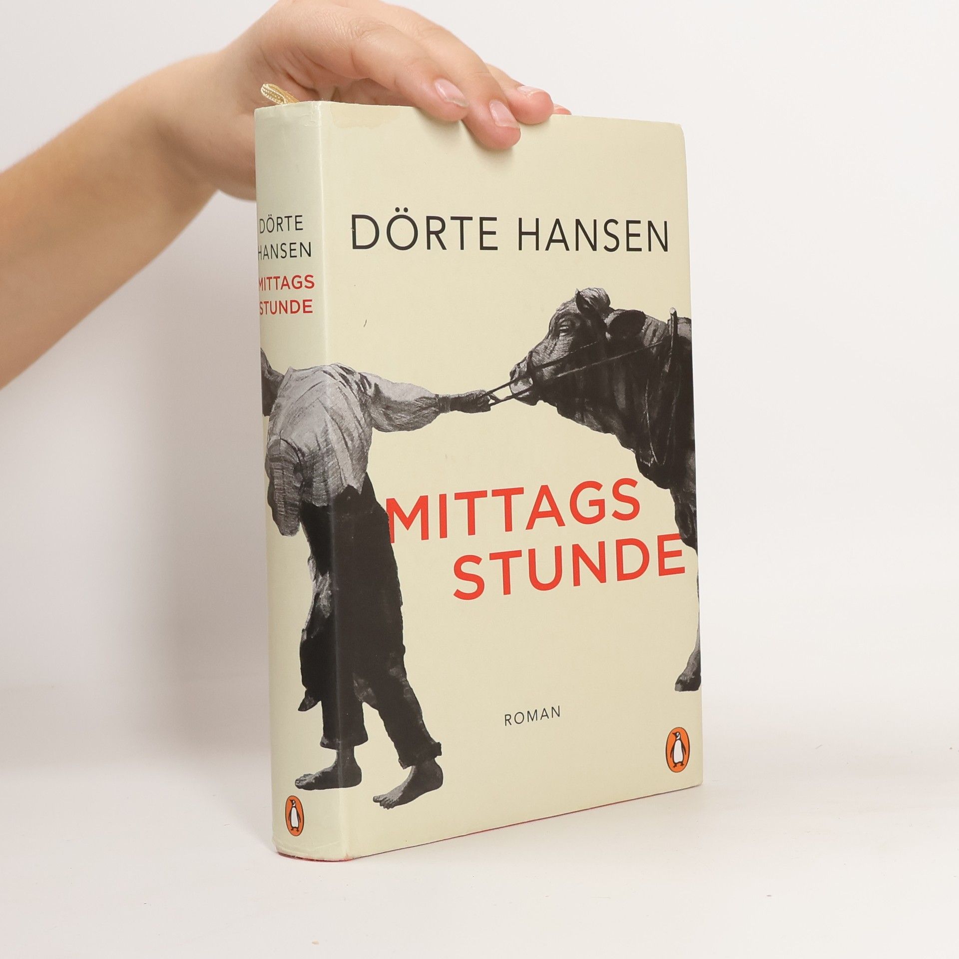 Dörte Hansen Mittagsstunde