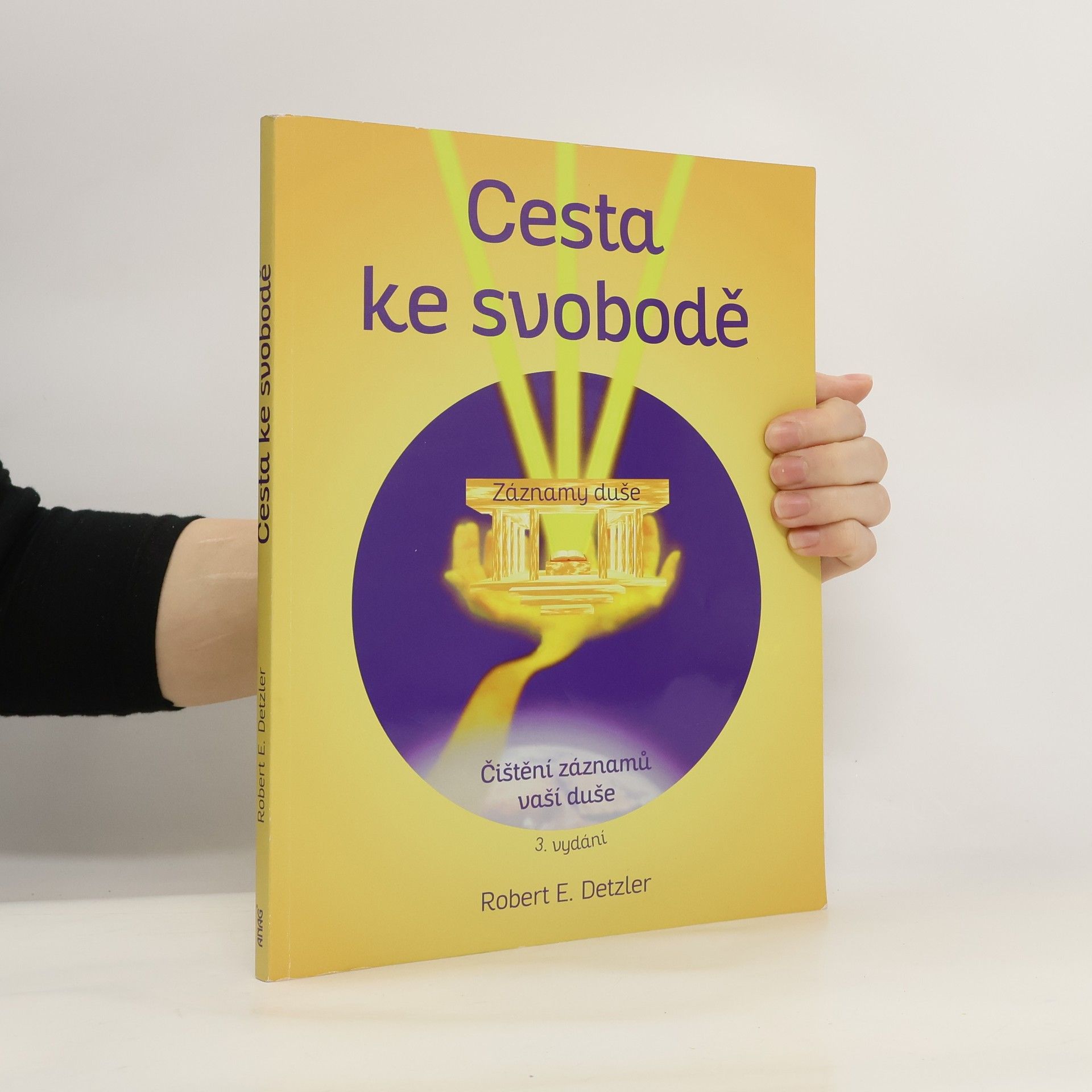 Robert E. Detzler Cesta ke svobodě : vyčištění záznamů vaší duše