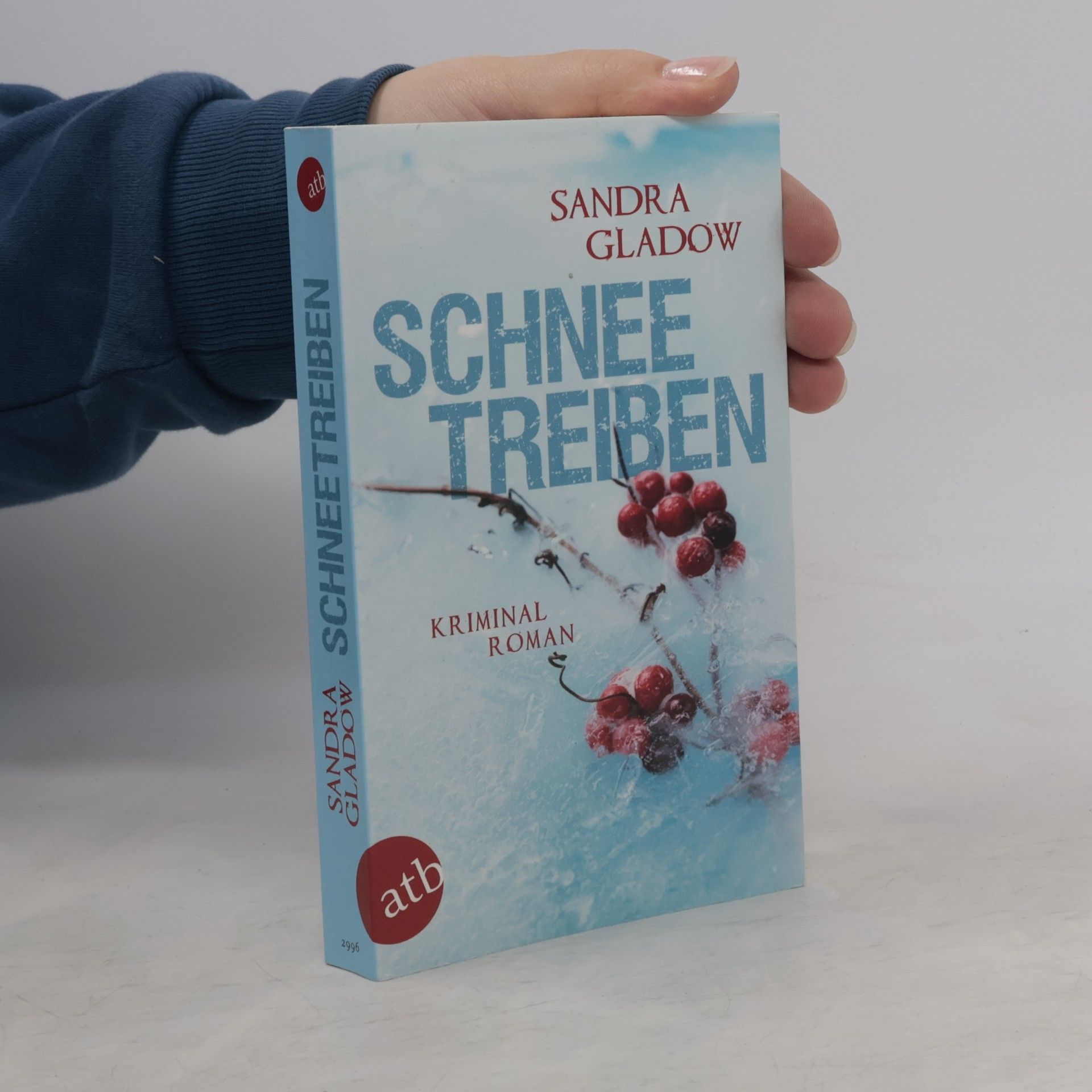 Sandra Gladow Schneetreiben