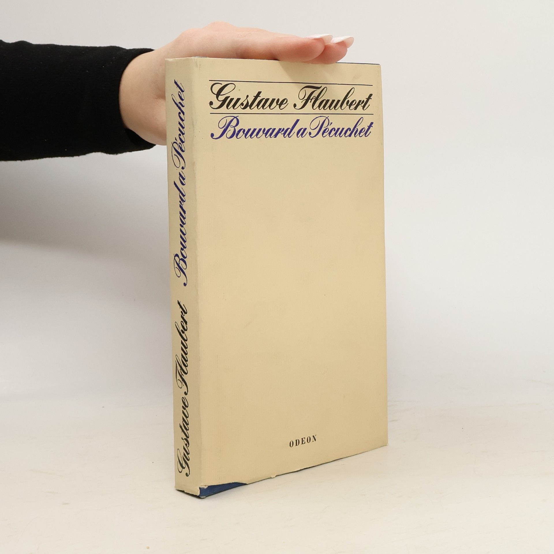 Gustave Flaubert Bouvard a Pécuchet