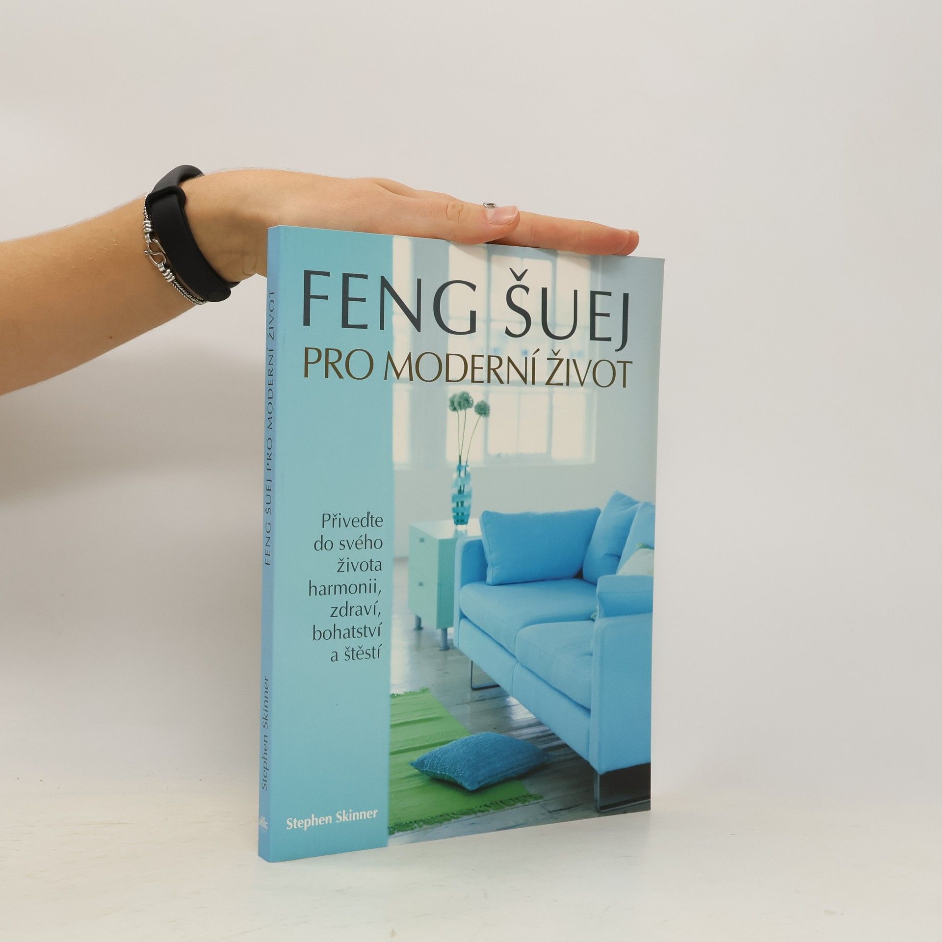 Stephen Skinner Feng šuej pro moderní život