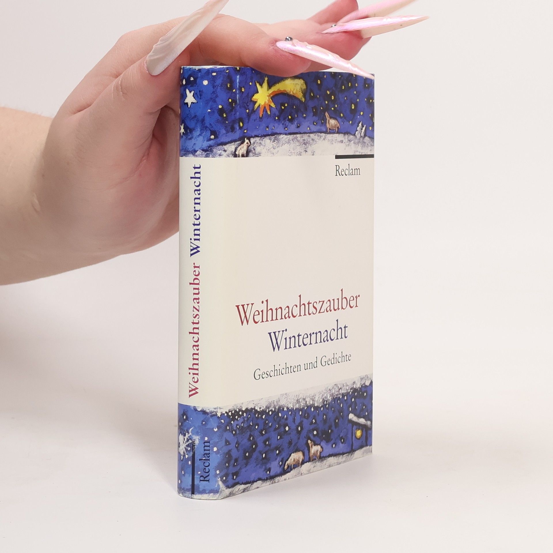 Stephan Koranyi Weihnachtszauber Winternacht