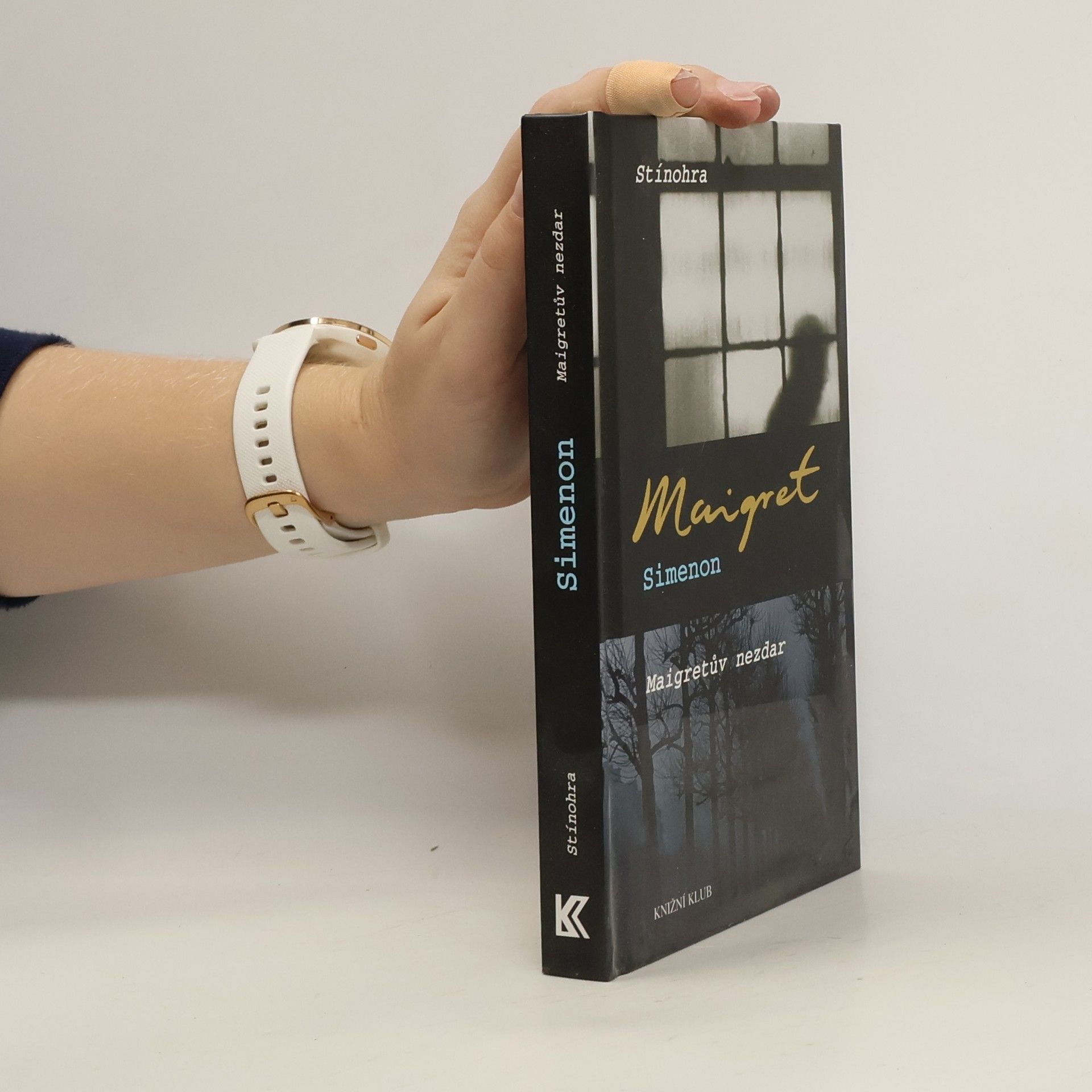 Georges Simenon Stínohra. Maigretův nezdar