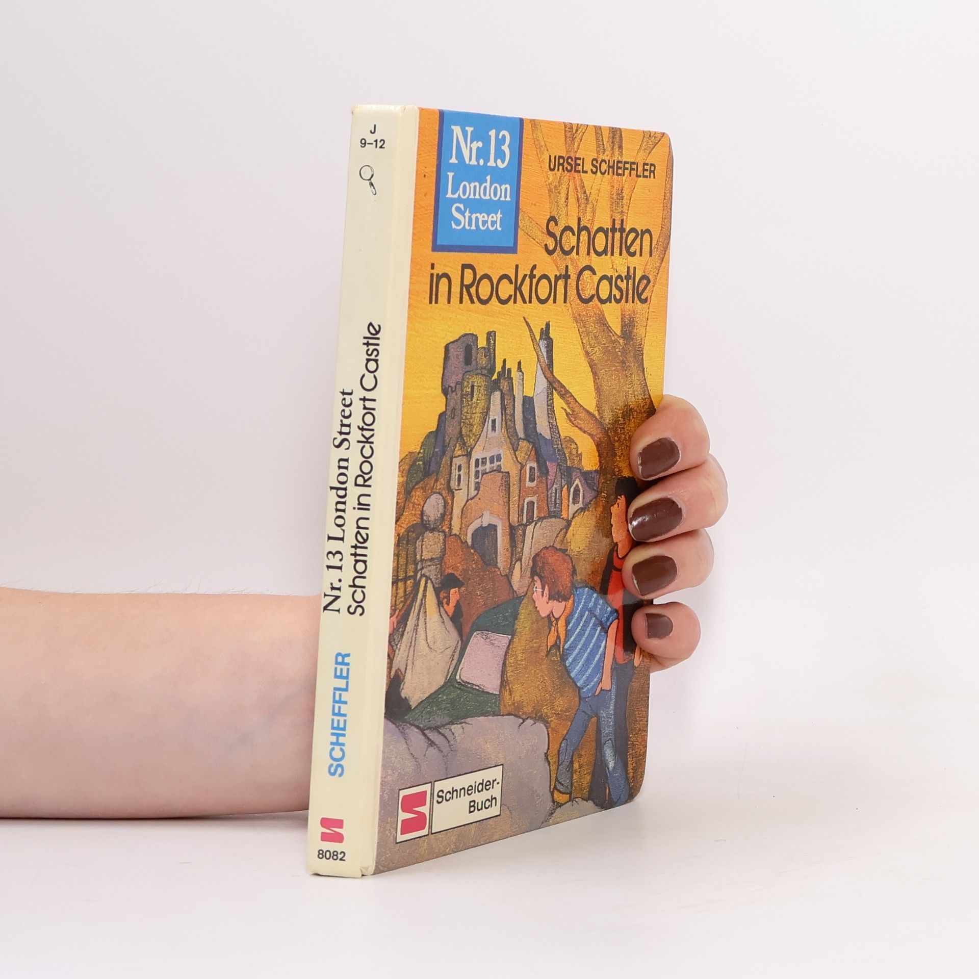 Ursel Scheffler Schatten in Rockfort Castle