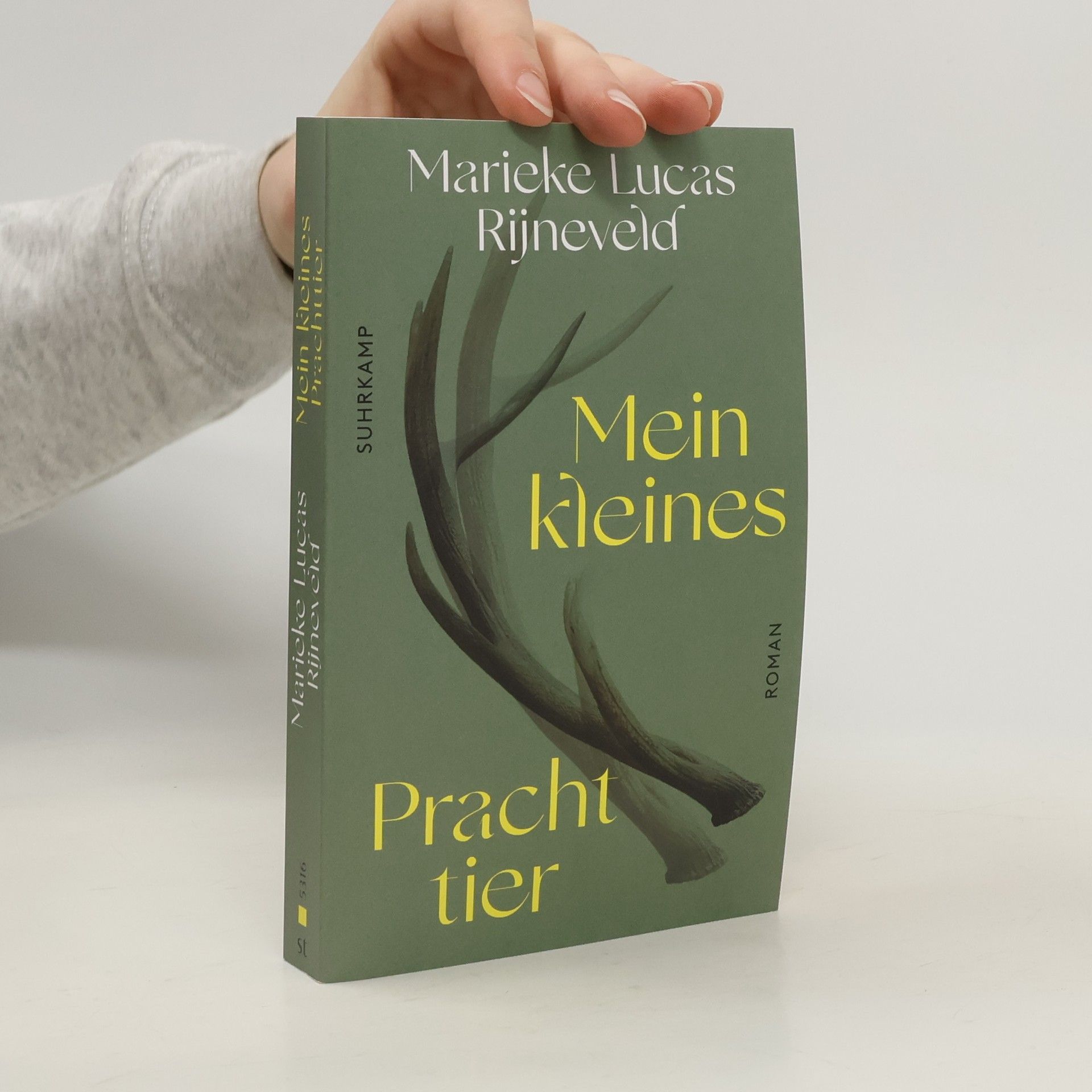 Marieke Lucas Rijneveld Mein kleines Prachttier